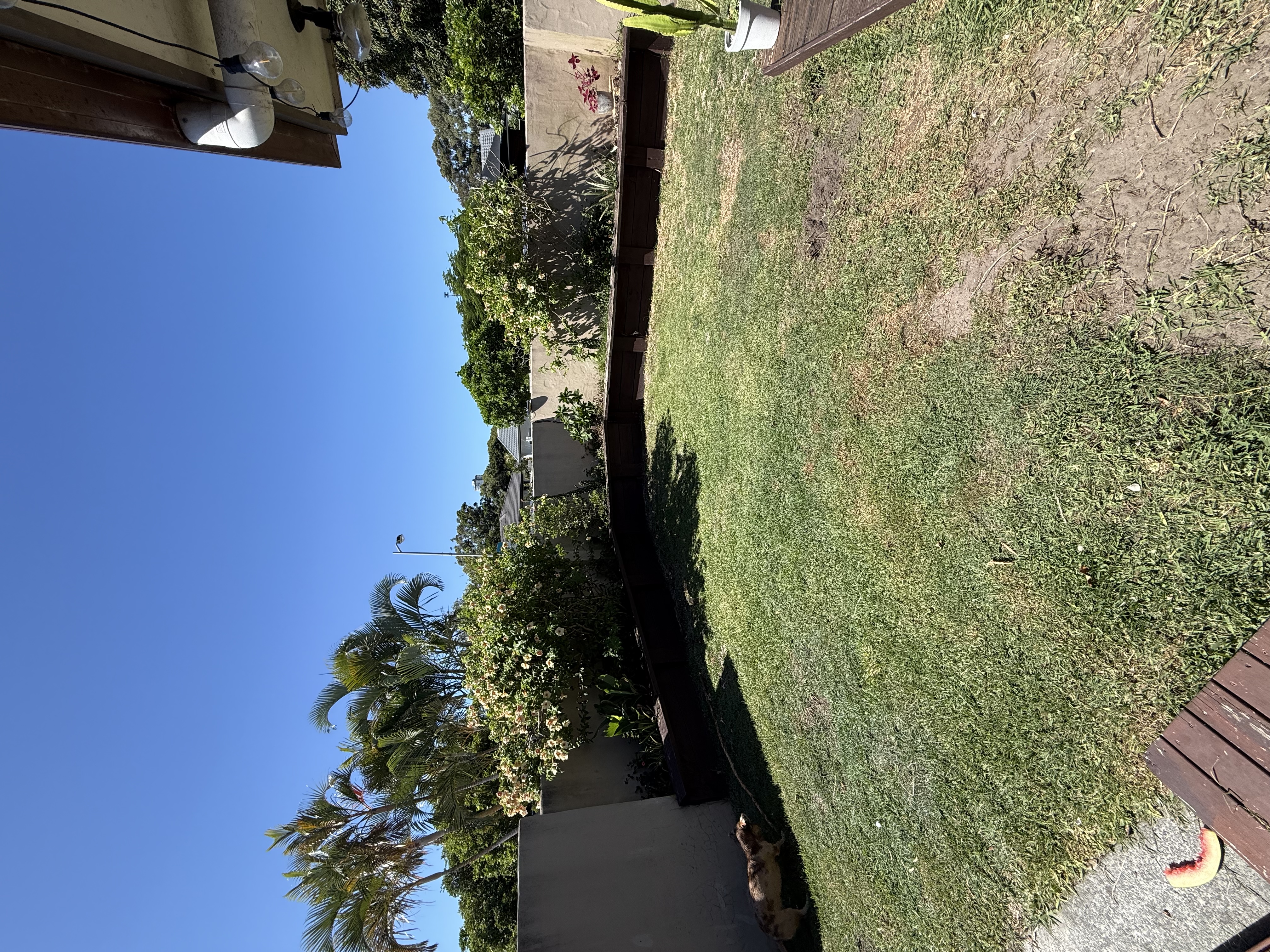 image-15