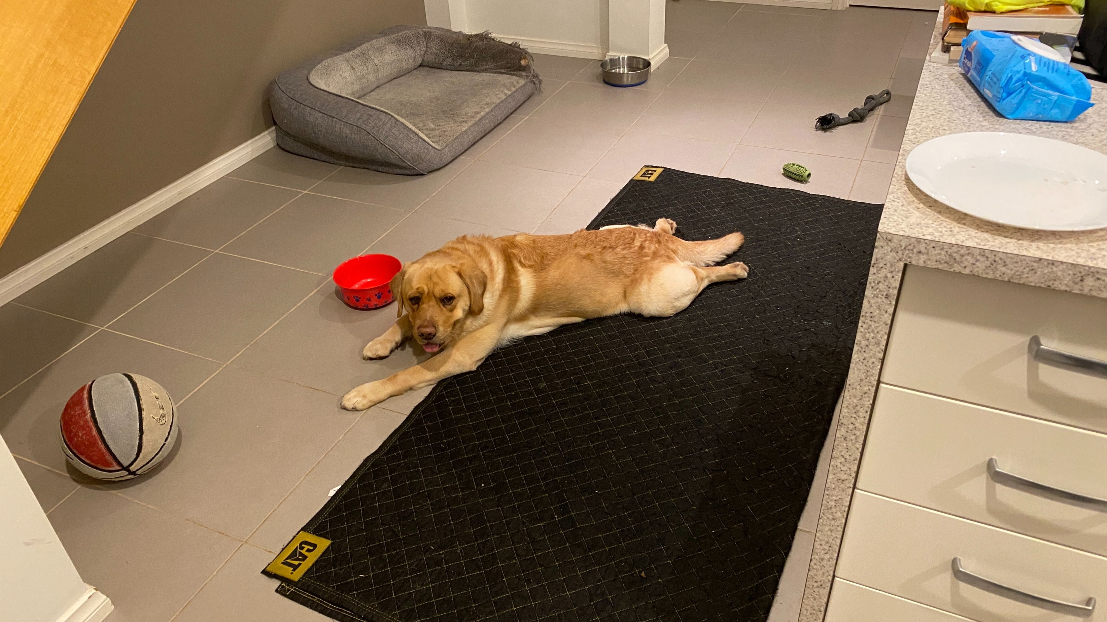 image-19