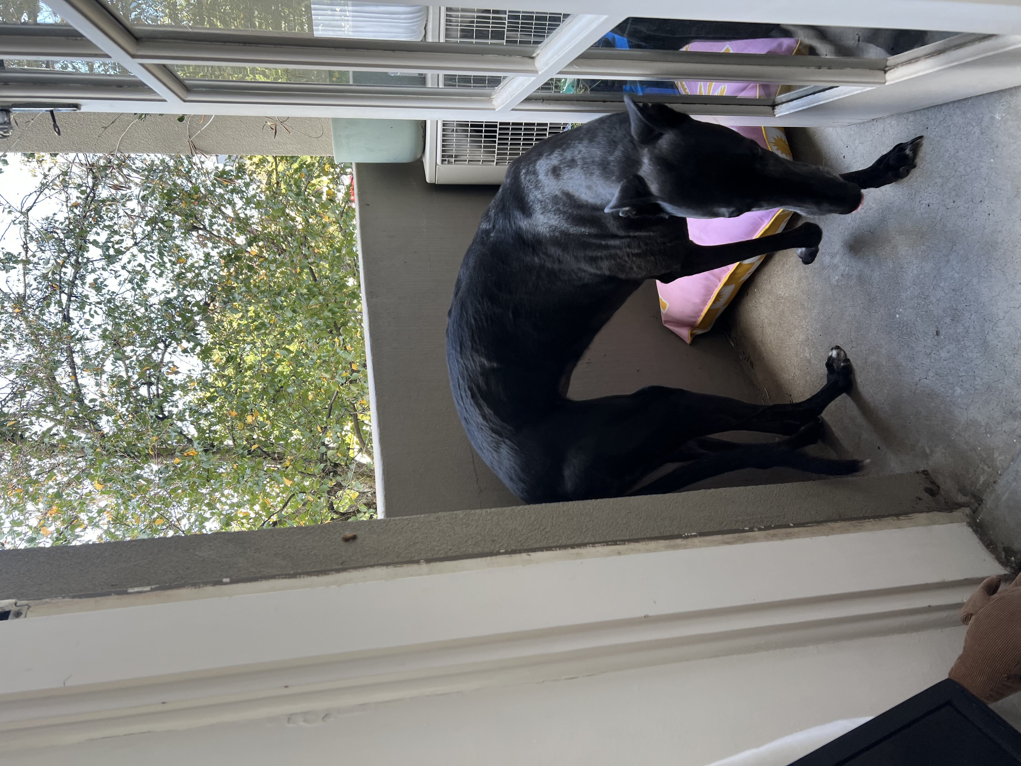 image-11