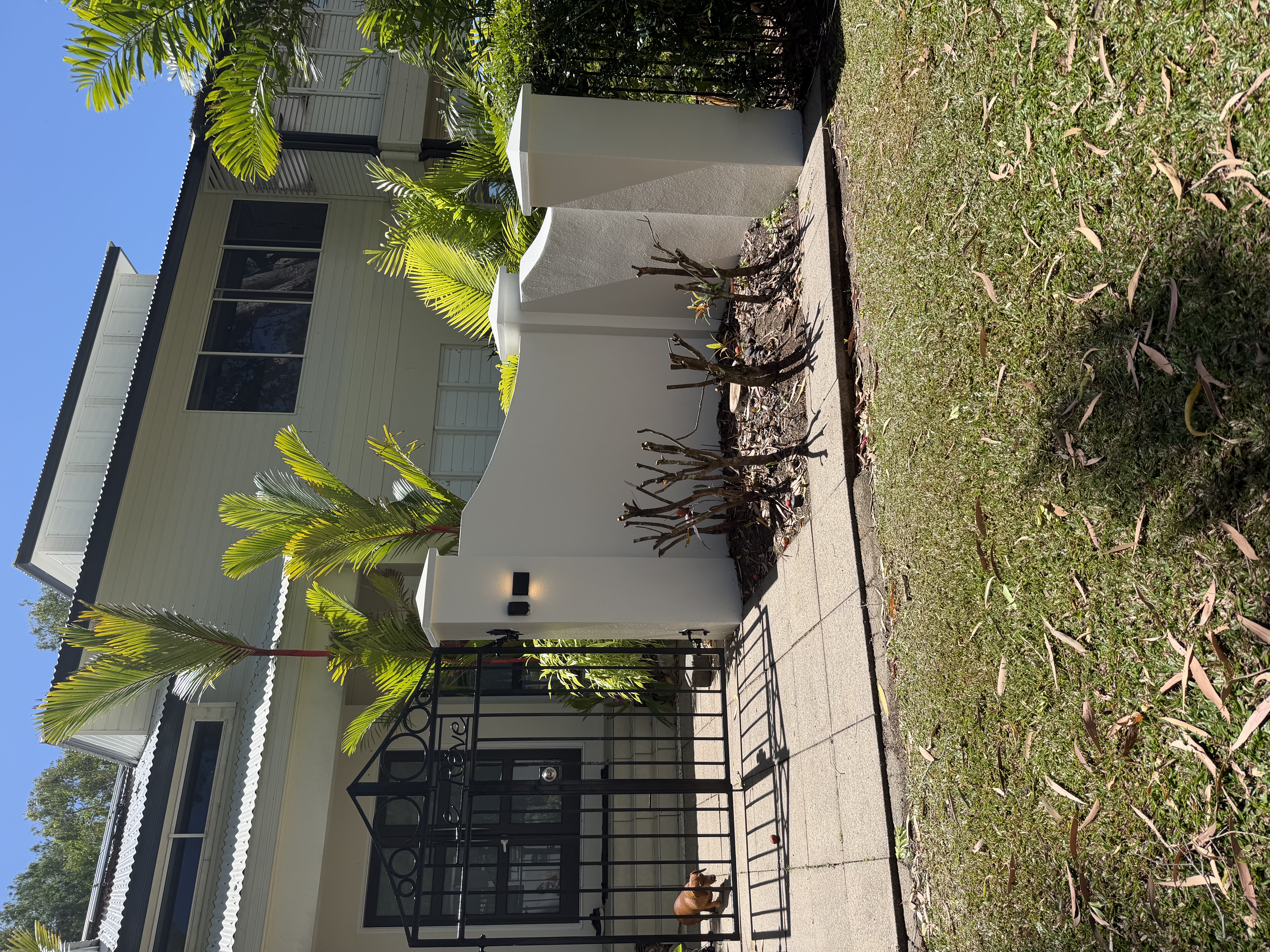 image-19