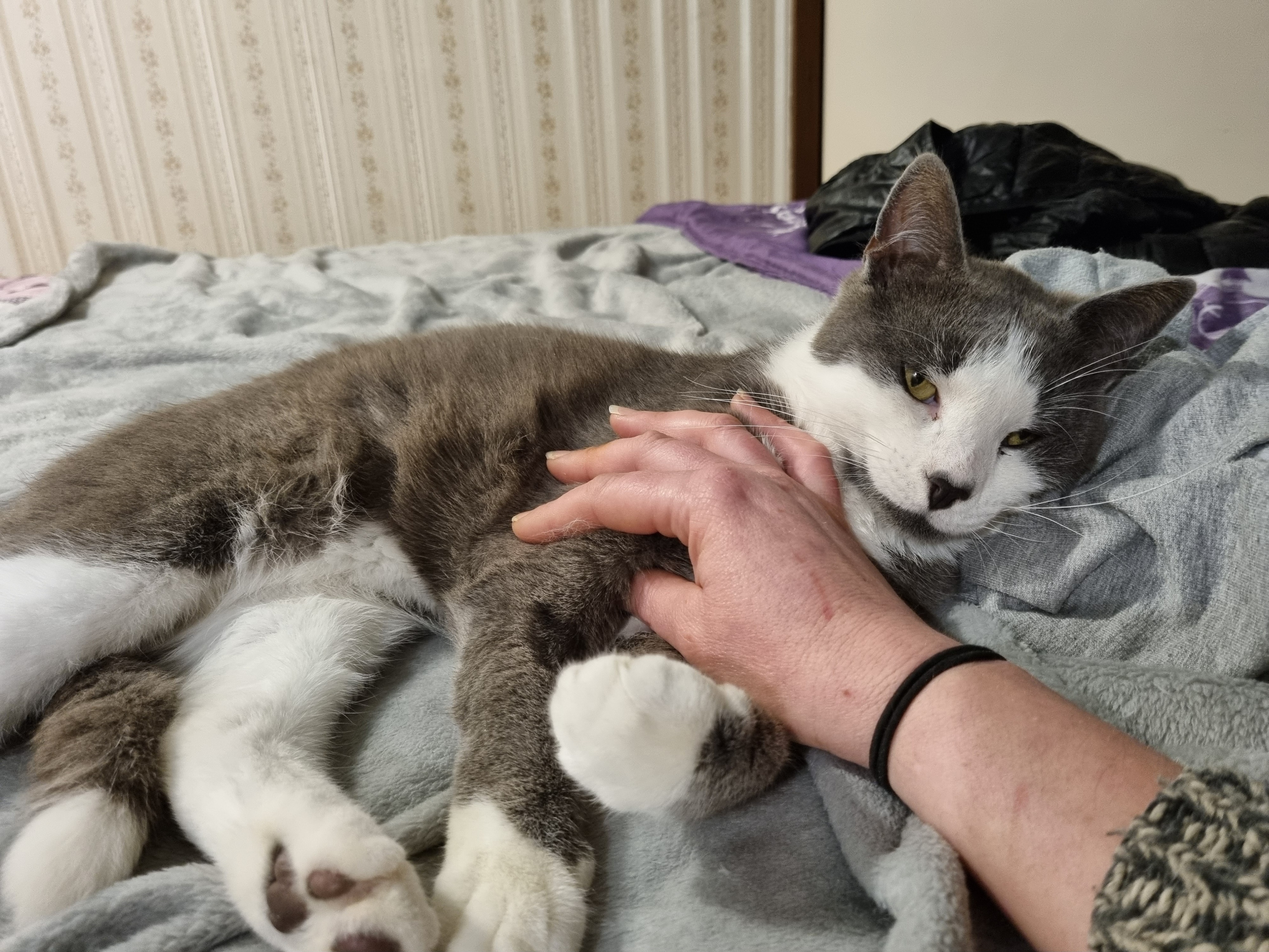 image-6