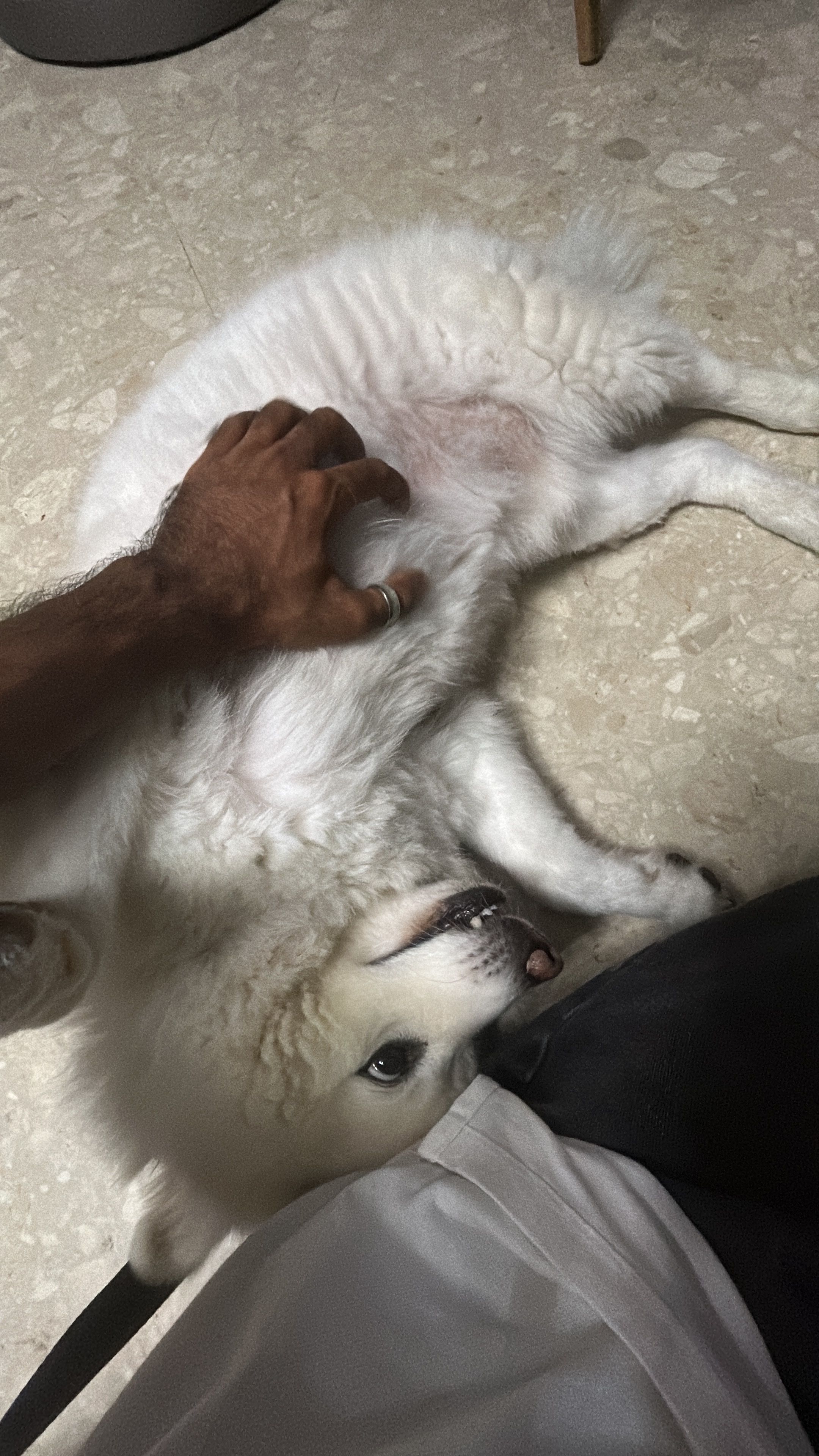 image-15