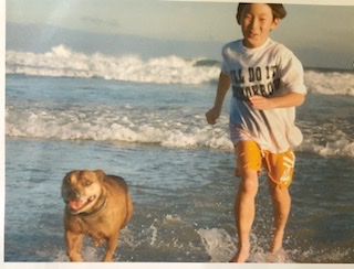 image-7