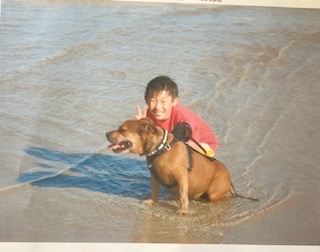 image-8