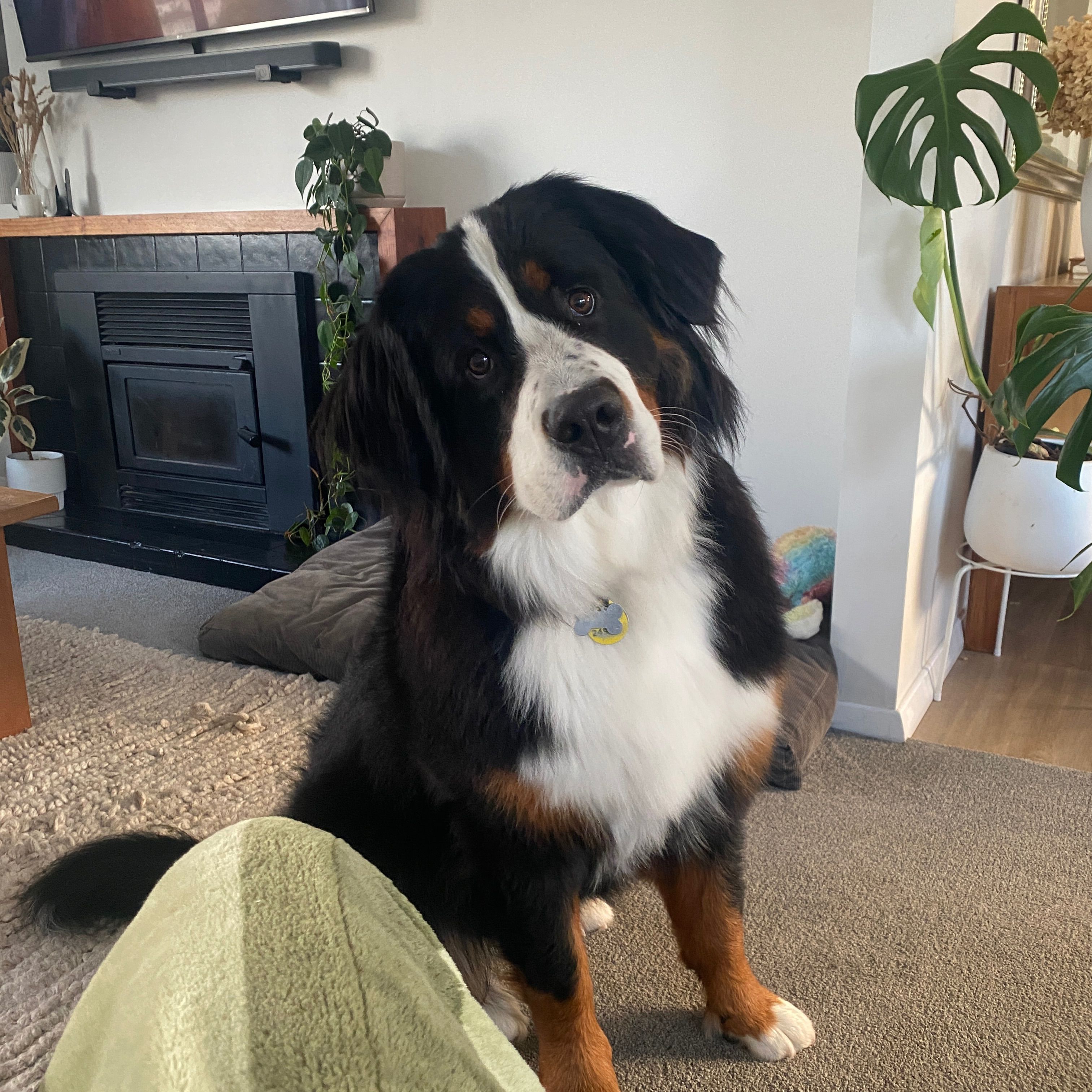 Marley