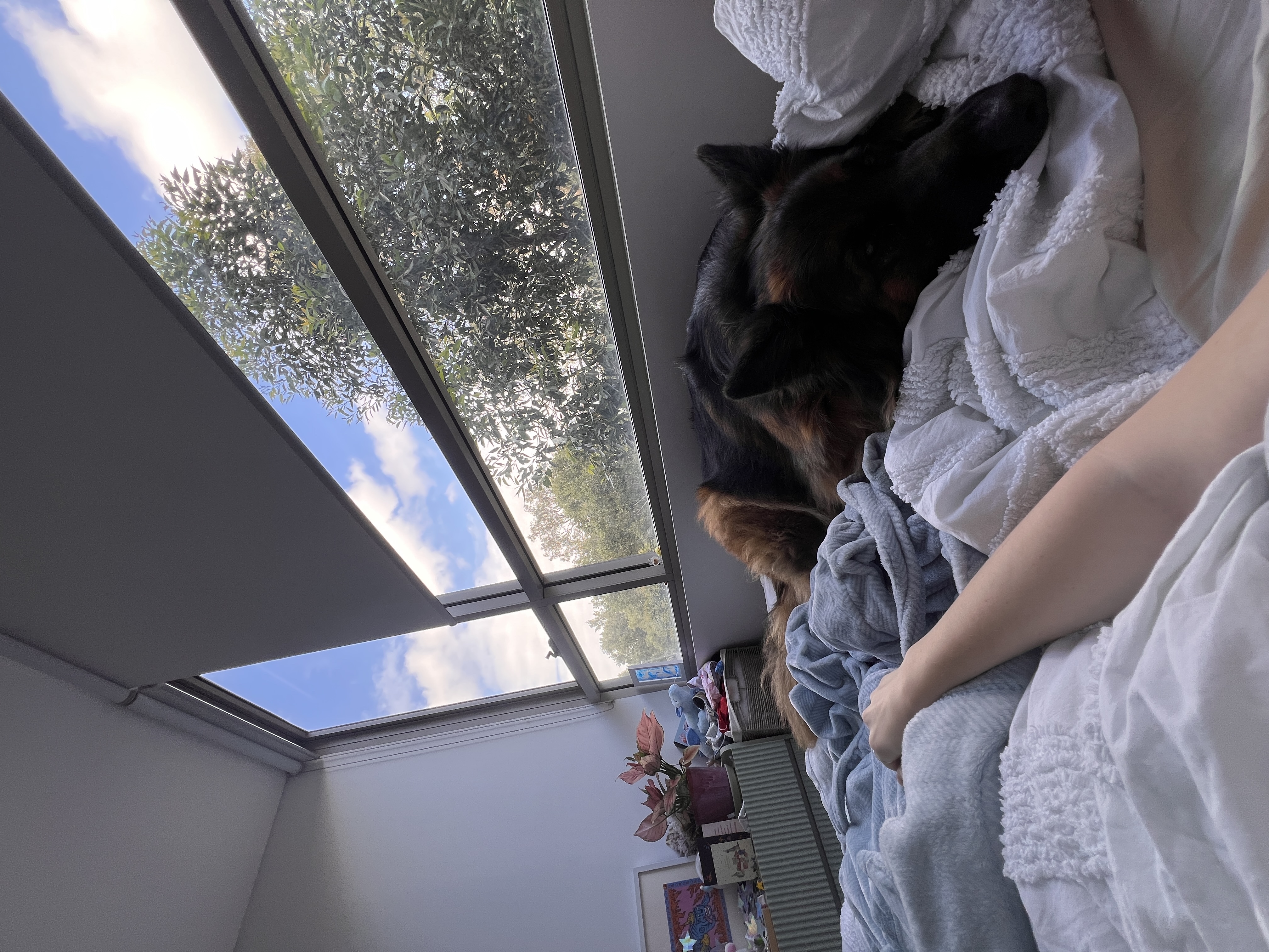 image-7