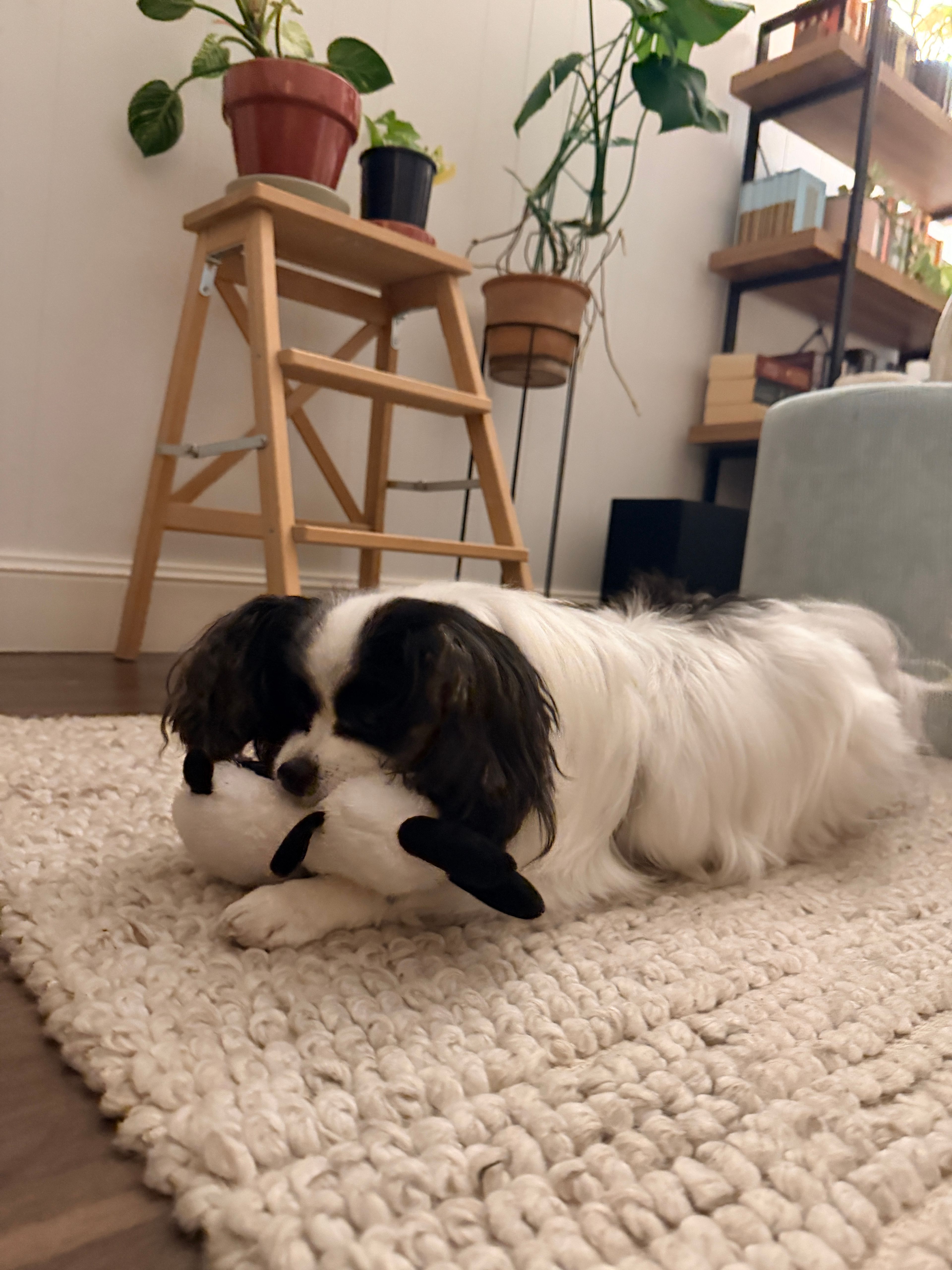image-9