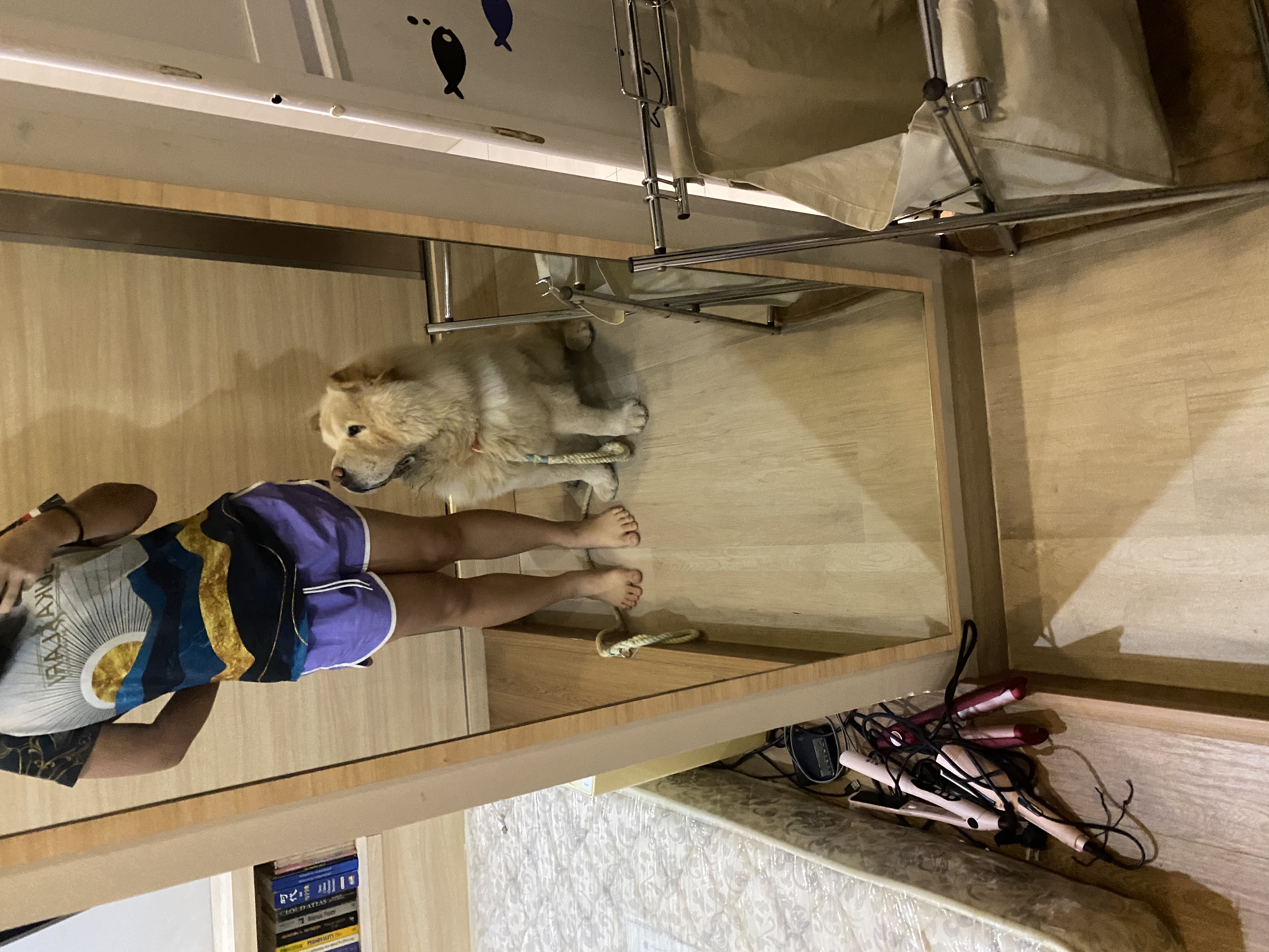 image-8