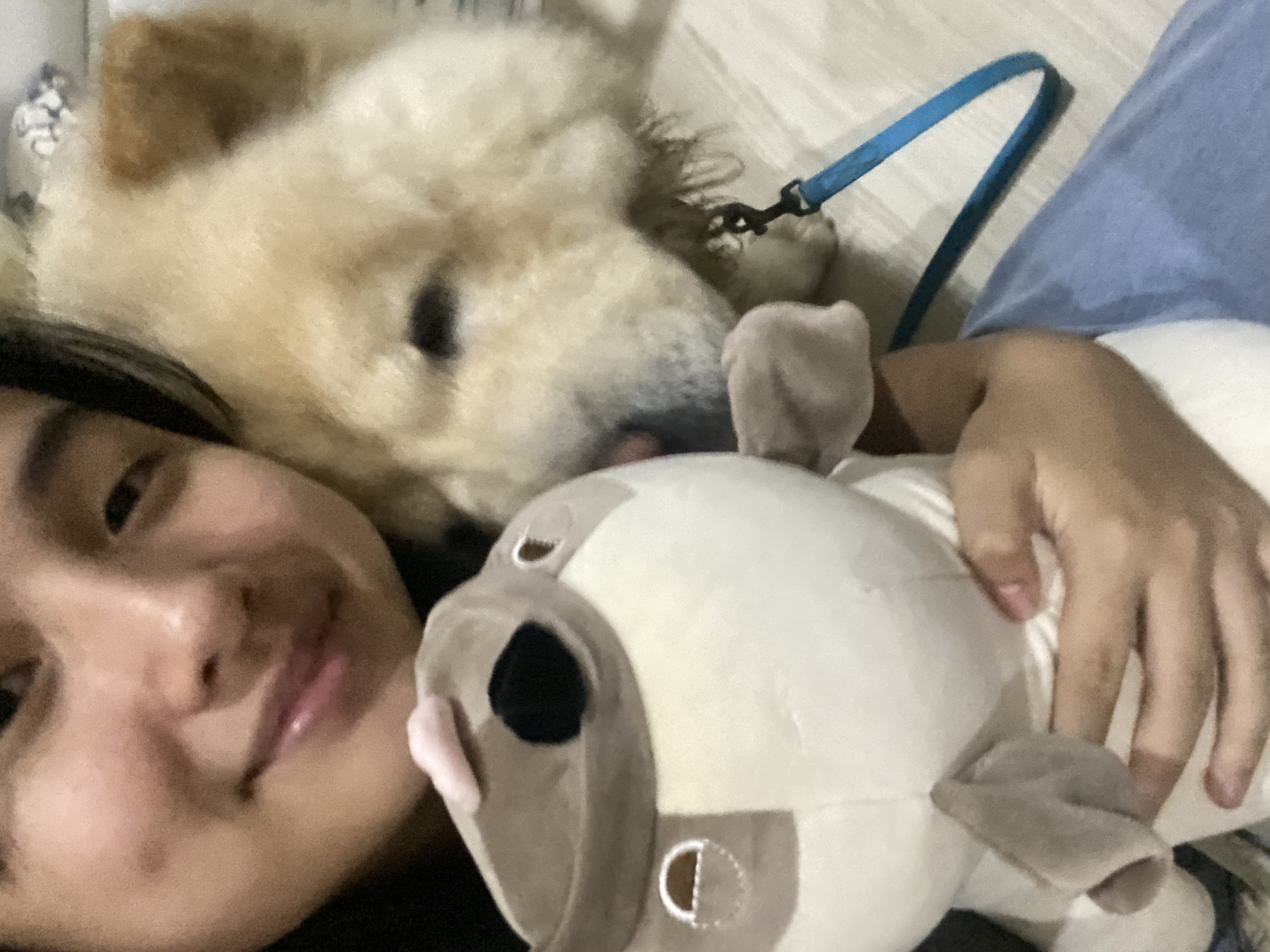 image-10