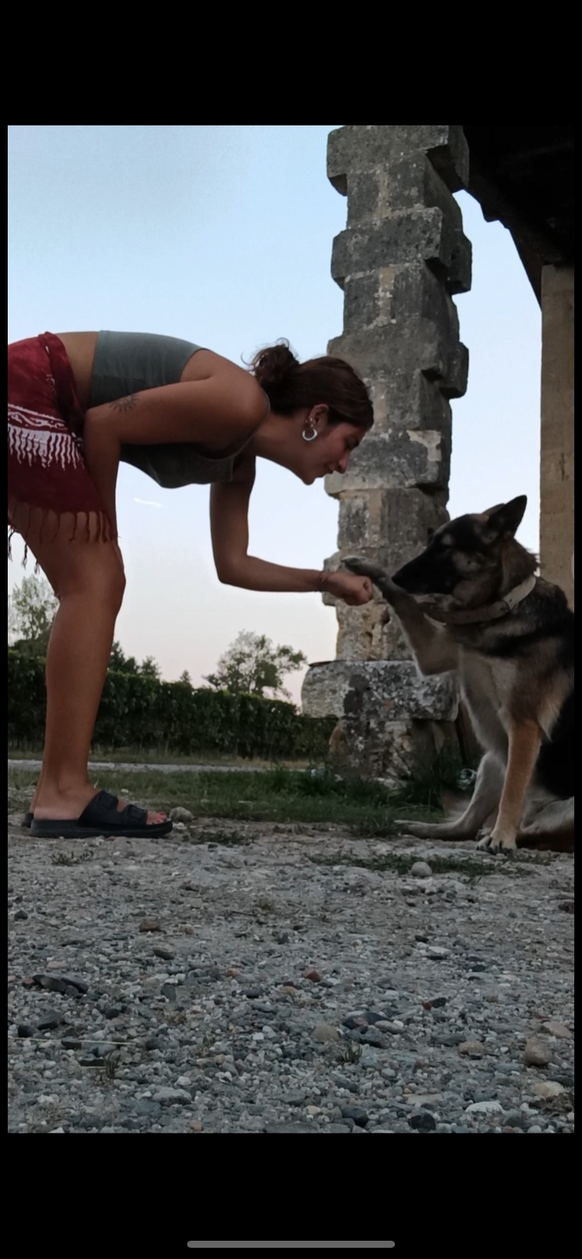 image-4
