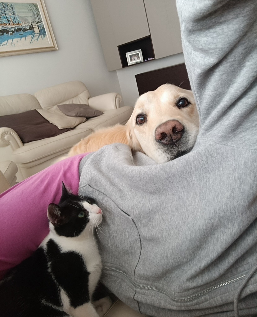 image-8