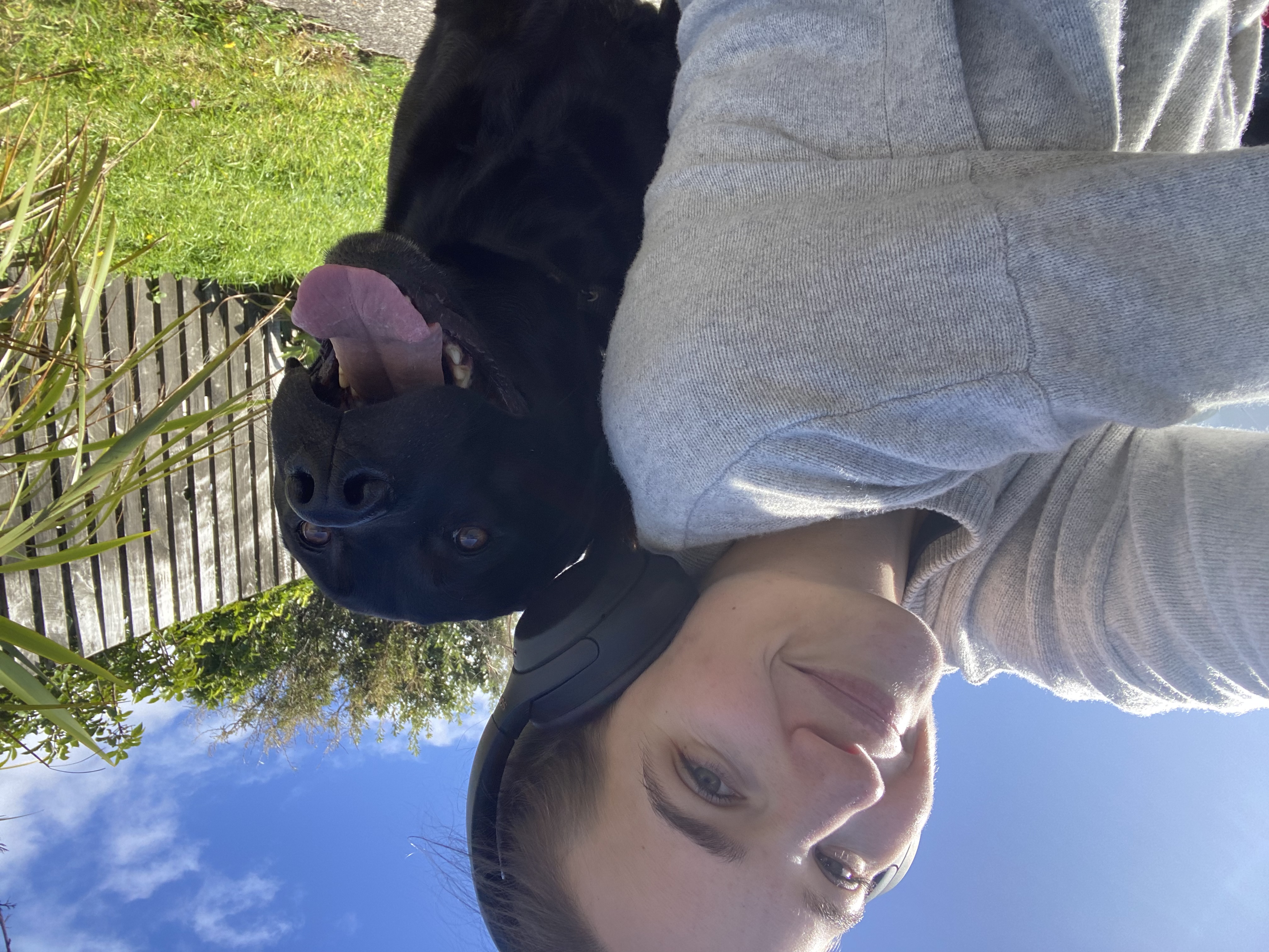 image-7