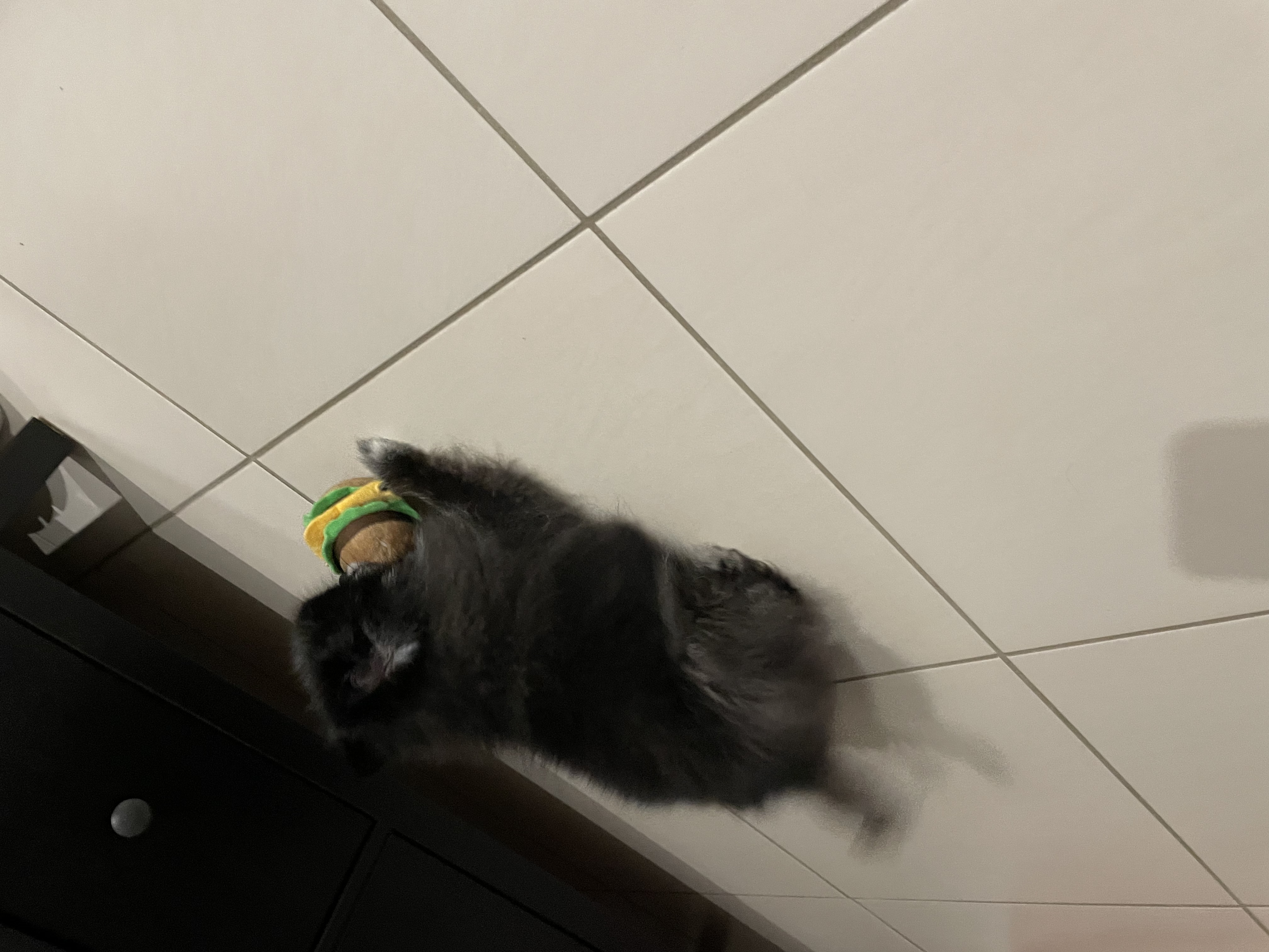 image-14