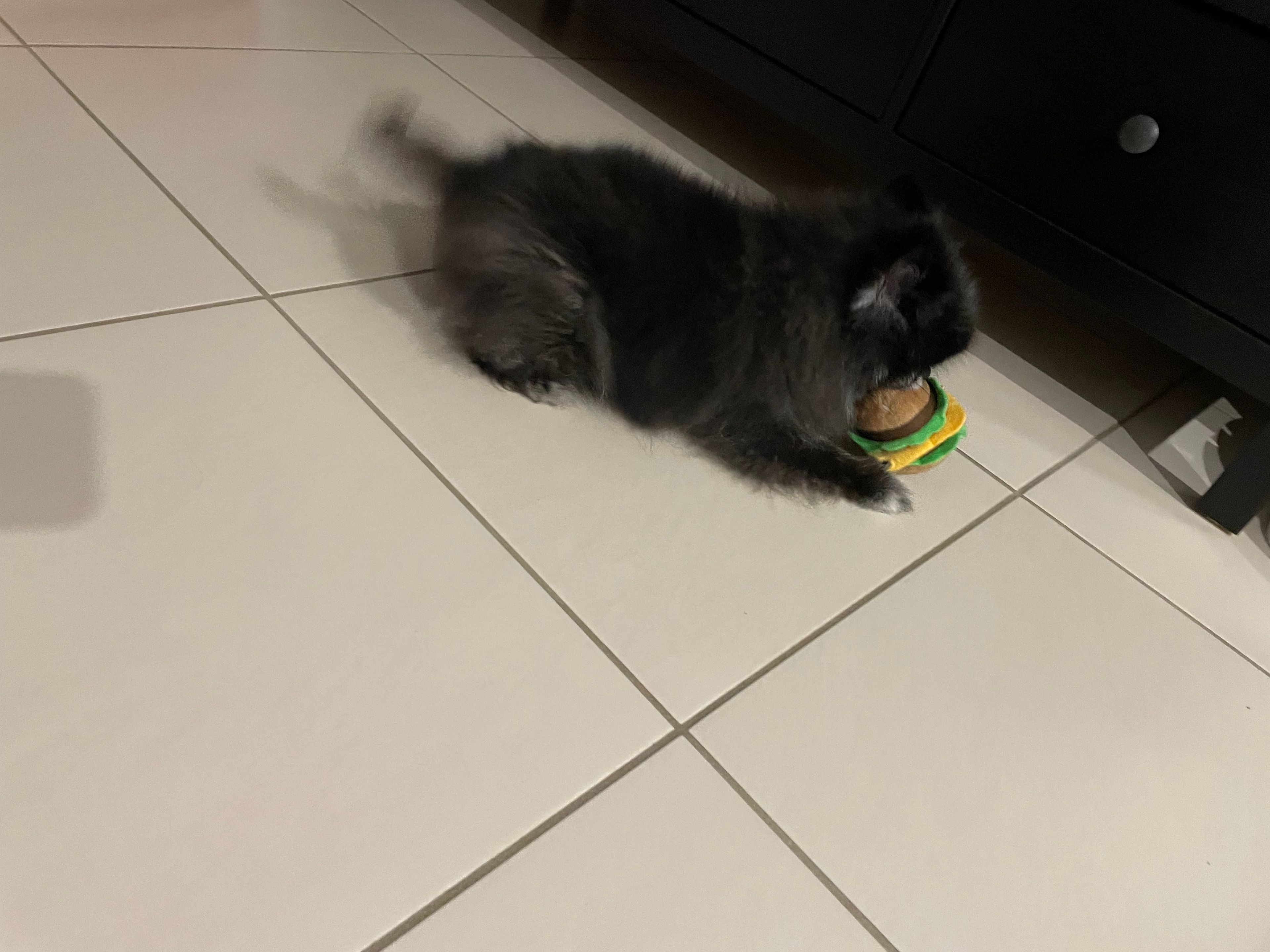 image-14
