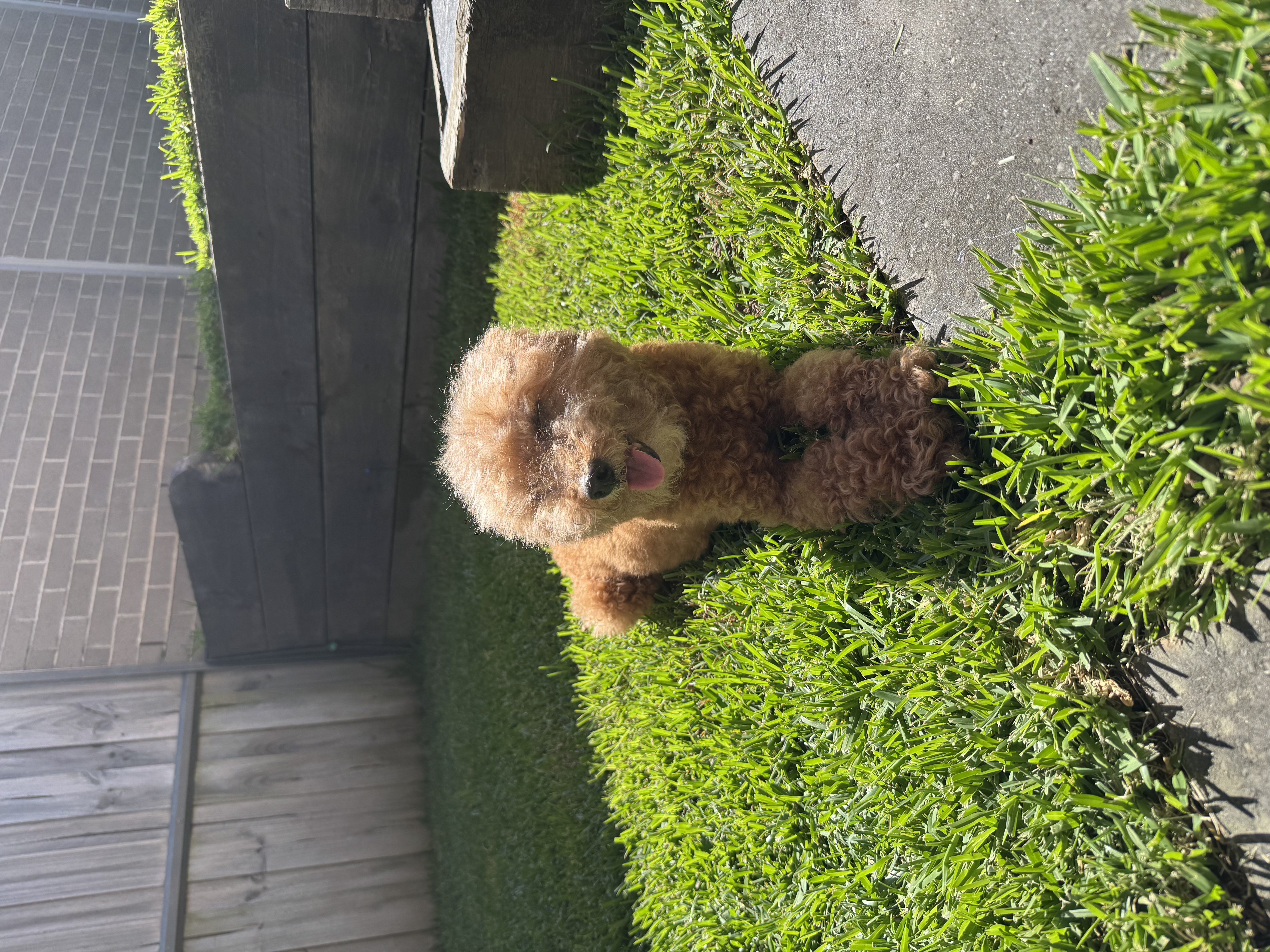 image-9