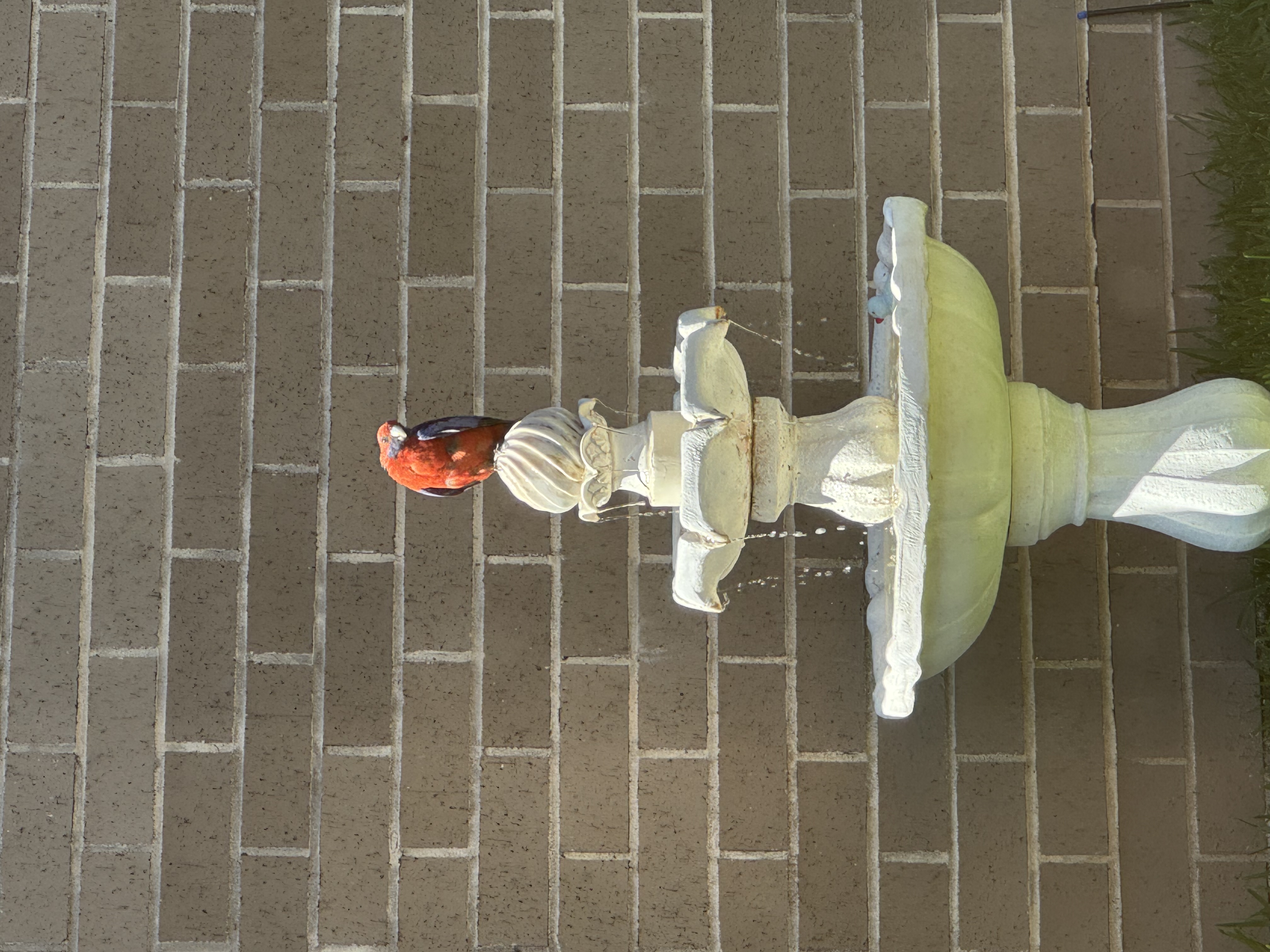 image-12