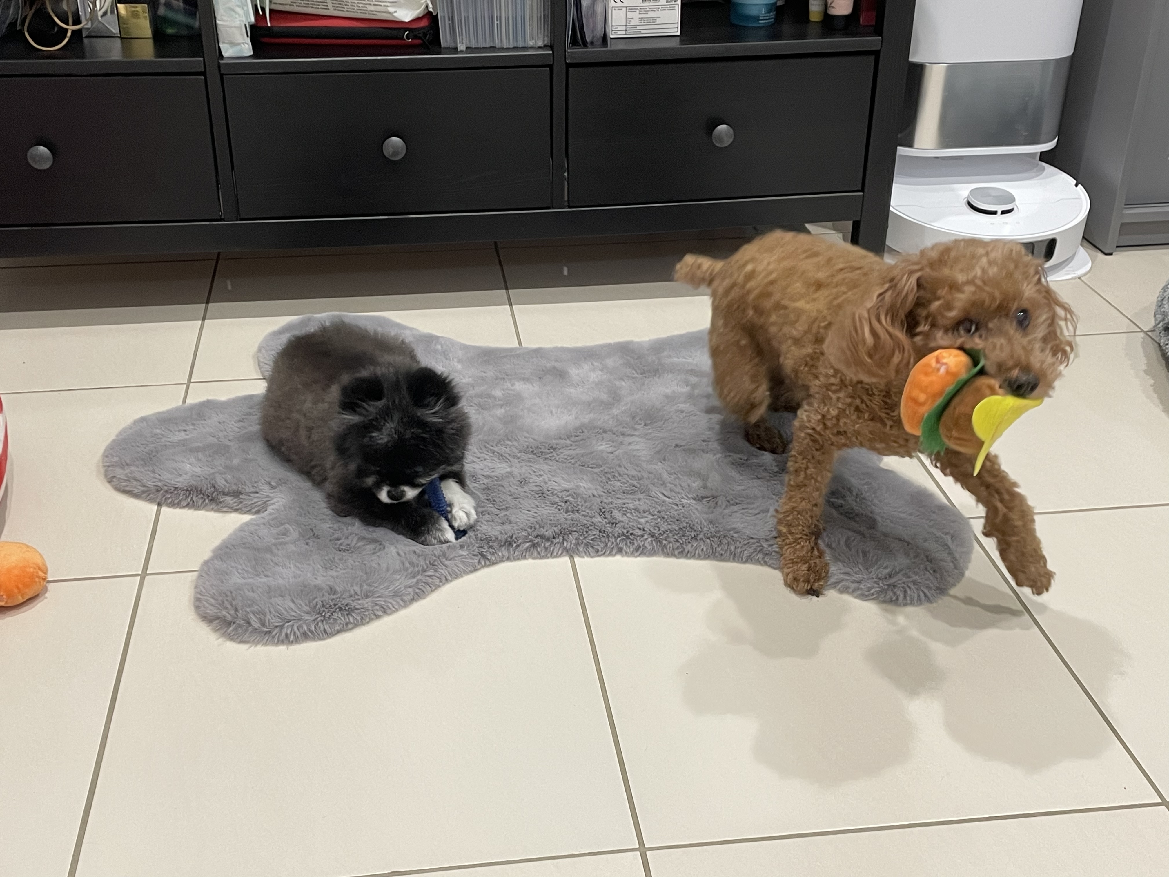 image-13