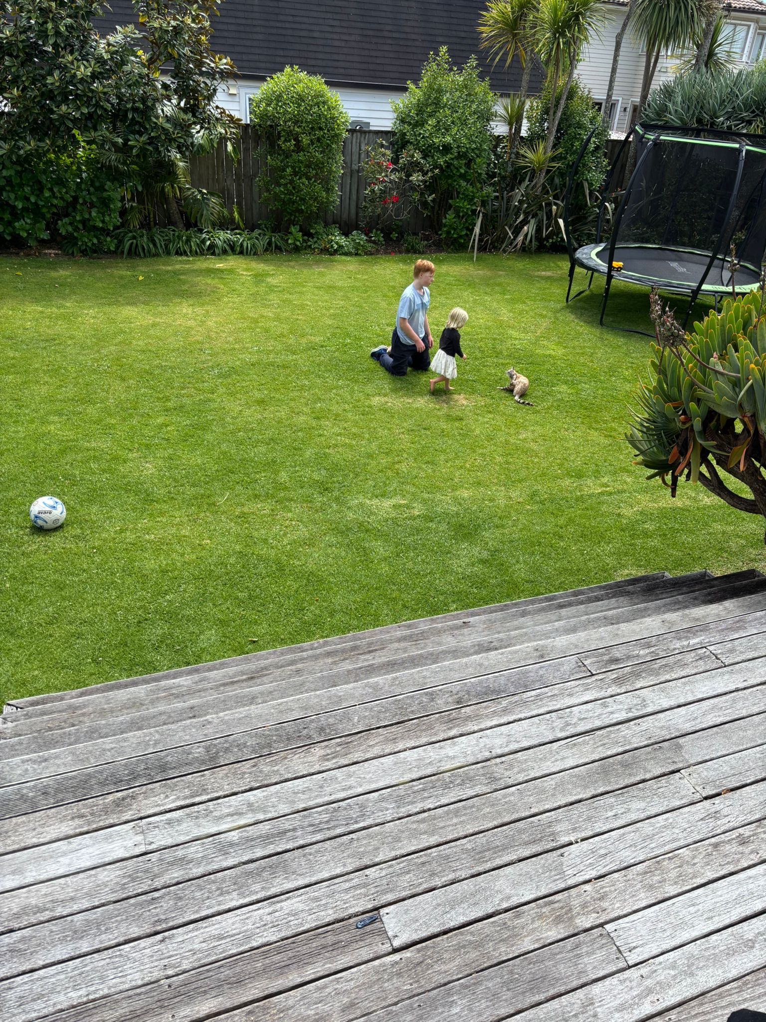 image-3