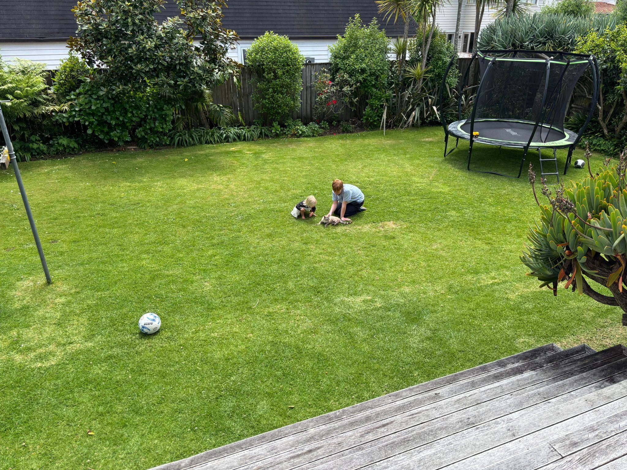 image-4
