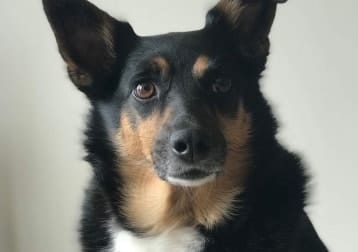 Zoe