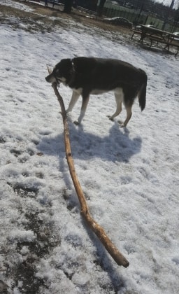 image-7