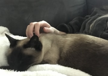 Chloe