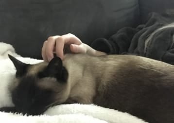 Chloe