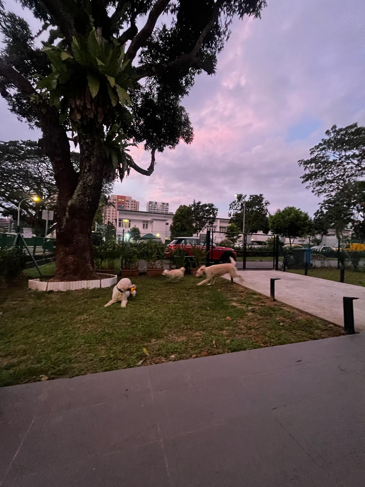 image-15
