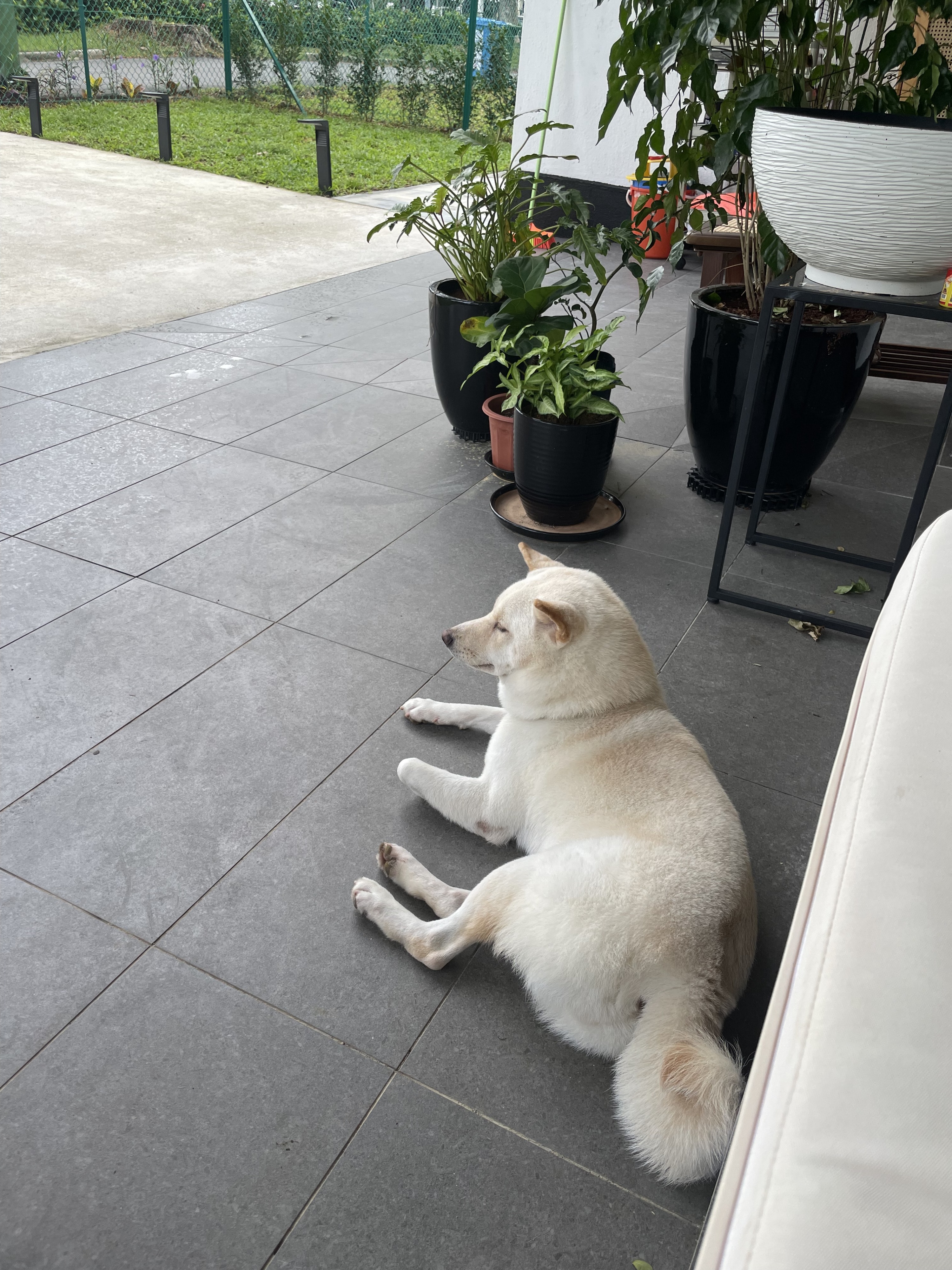 image-5