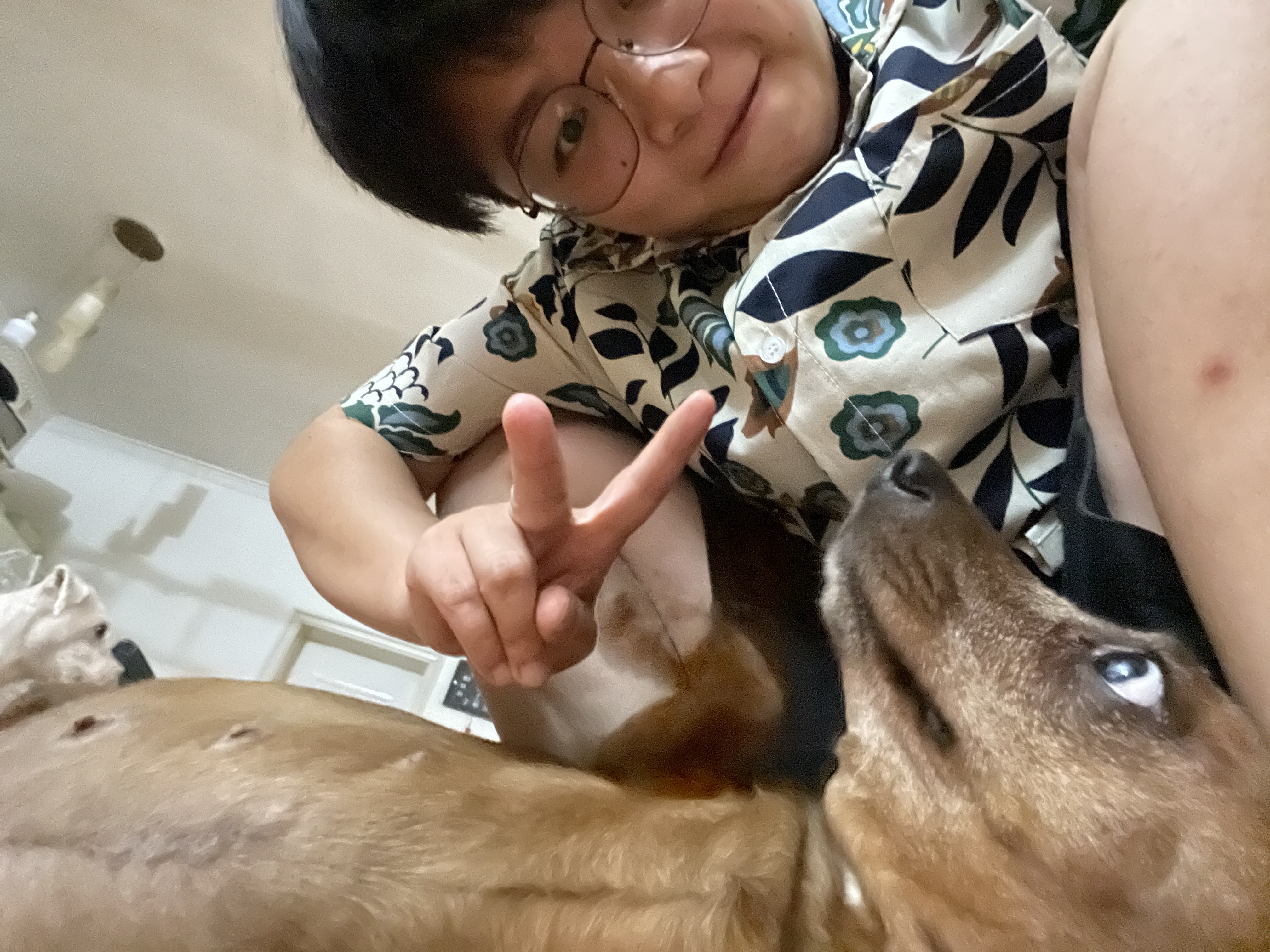 image-5