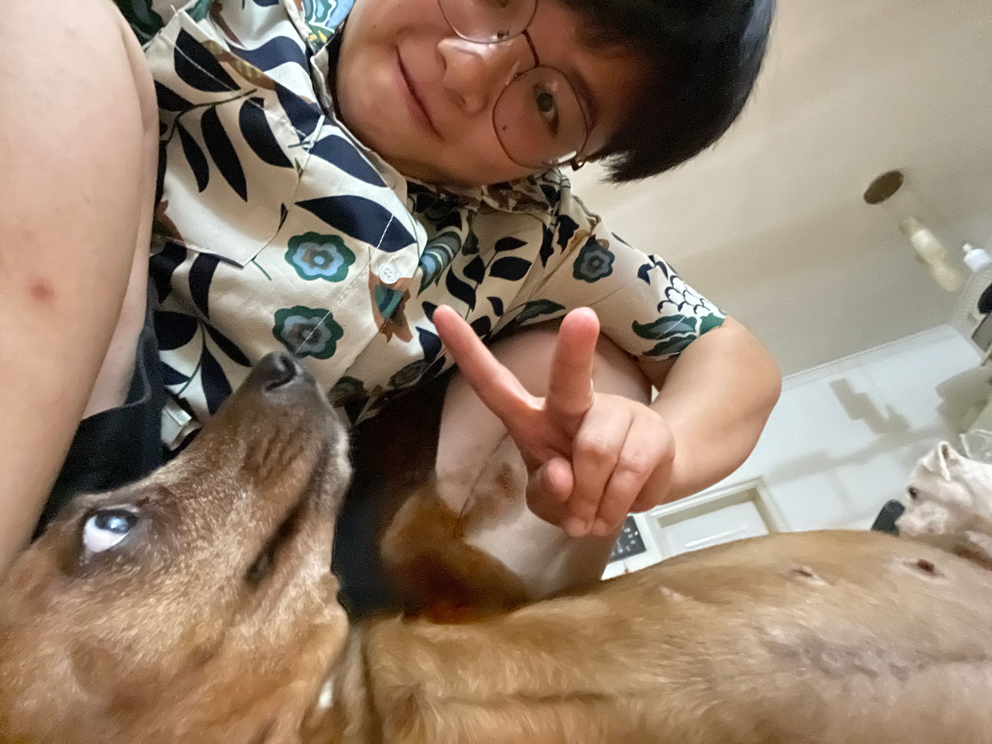 image-5