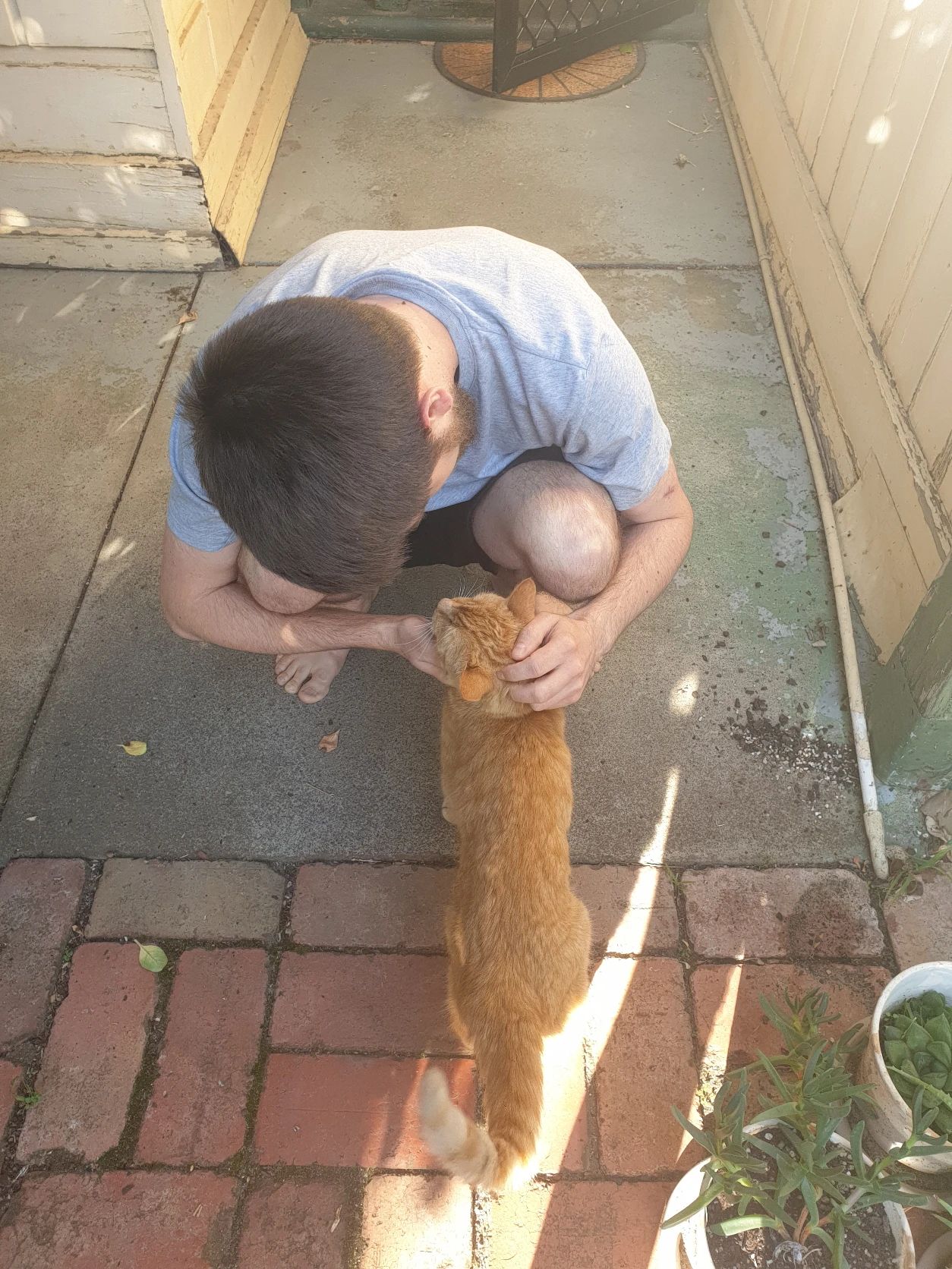 image-7