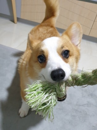image-4