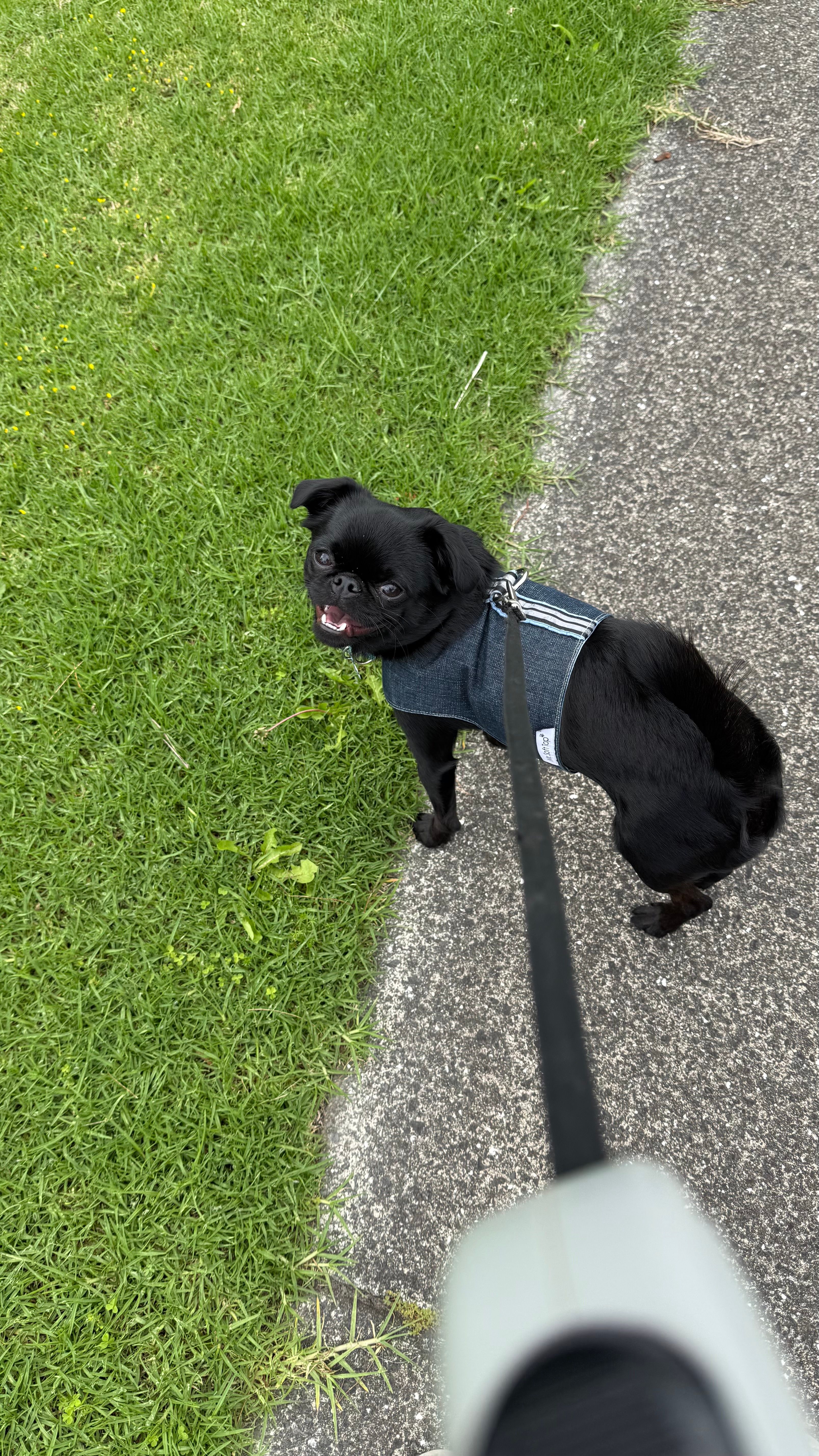image-8