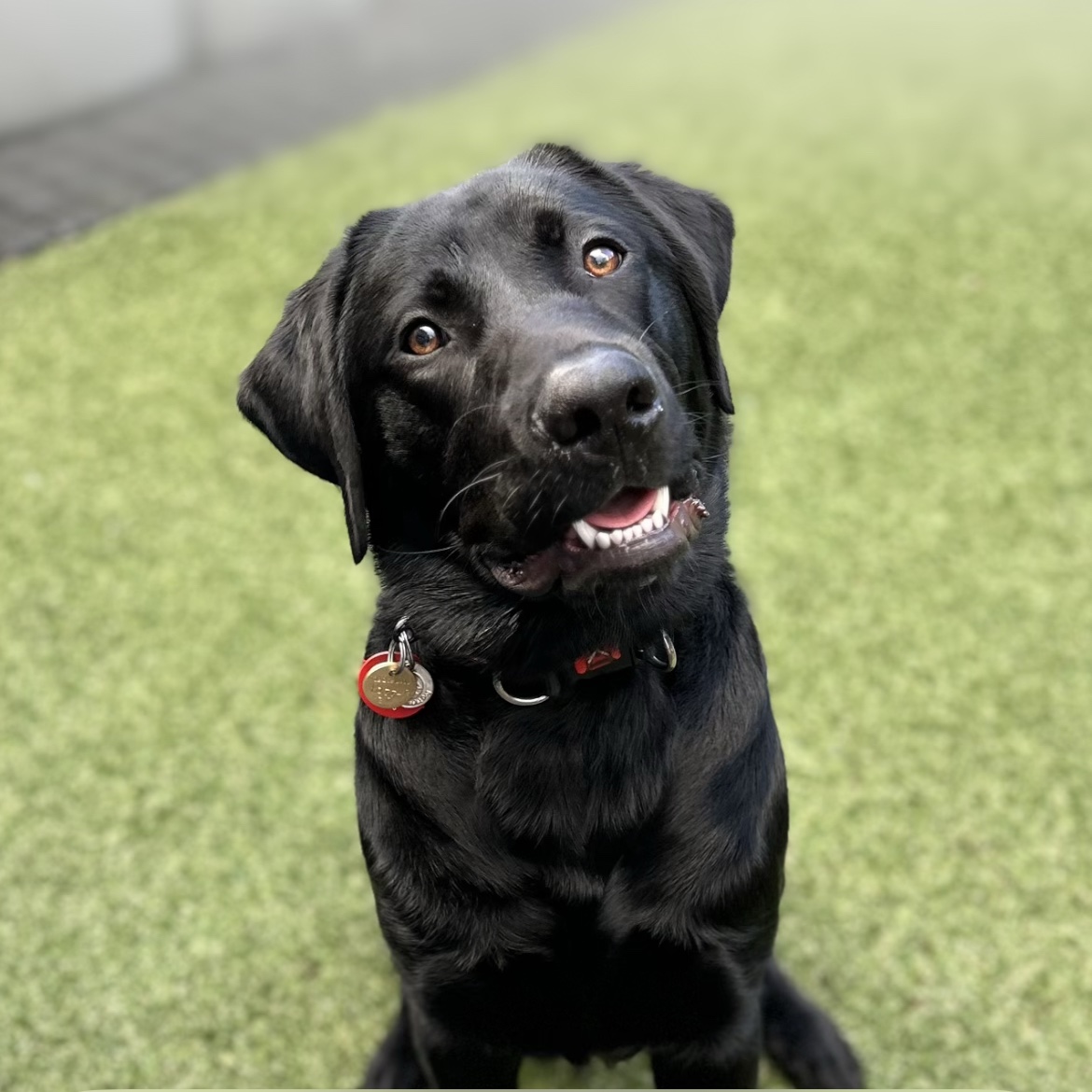 Zeus
