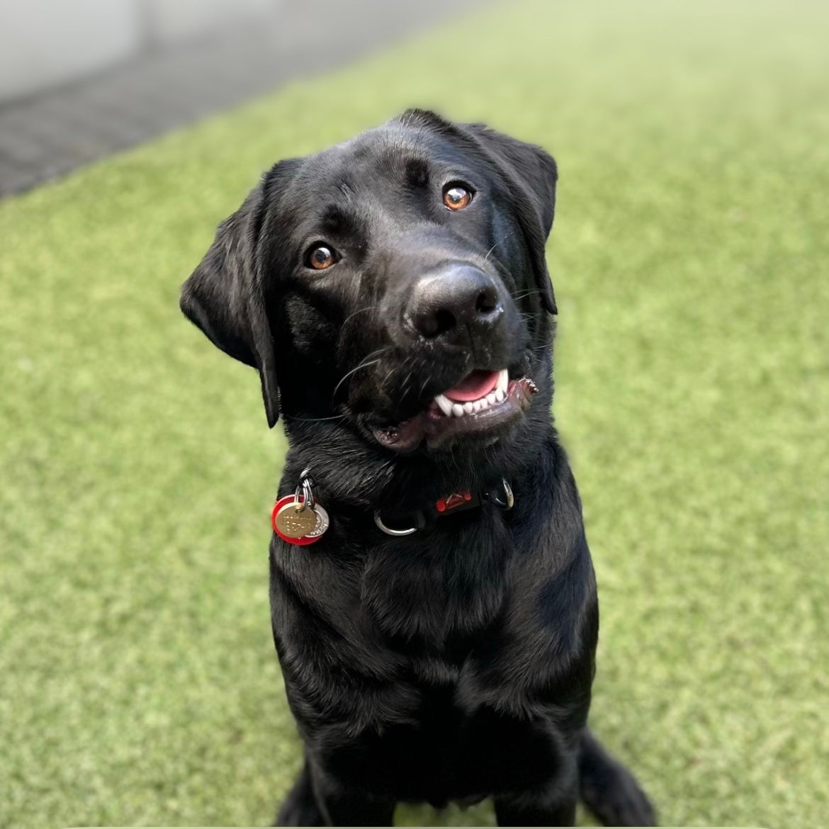 Zeus