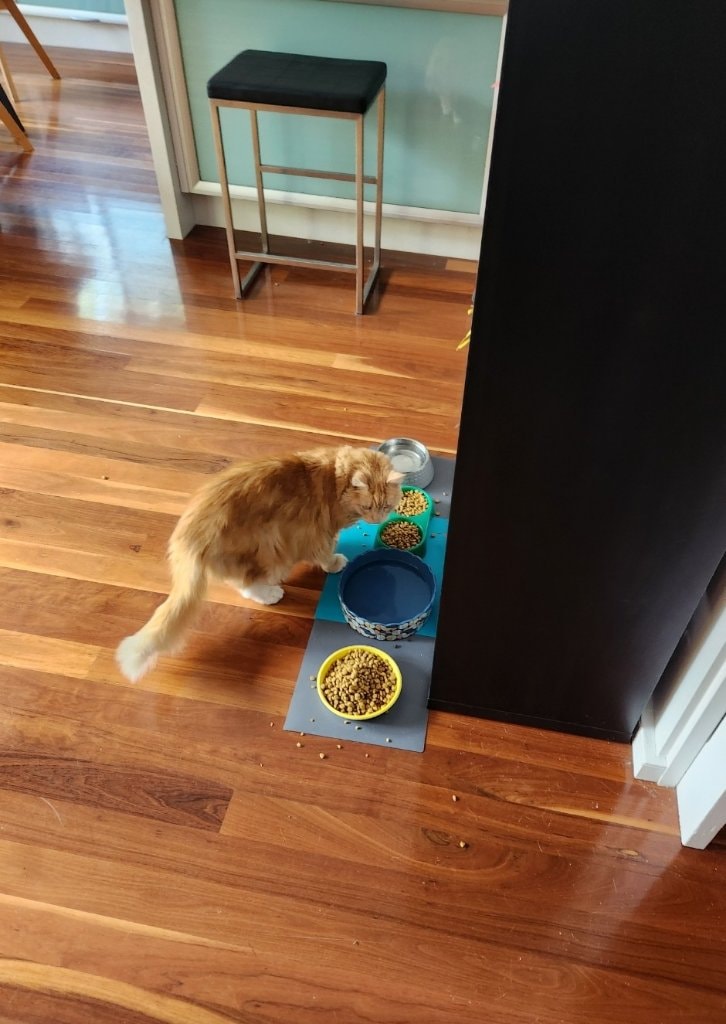 image-7