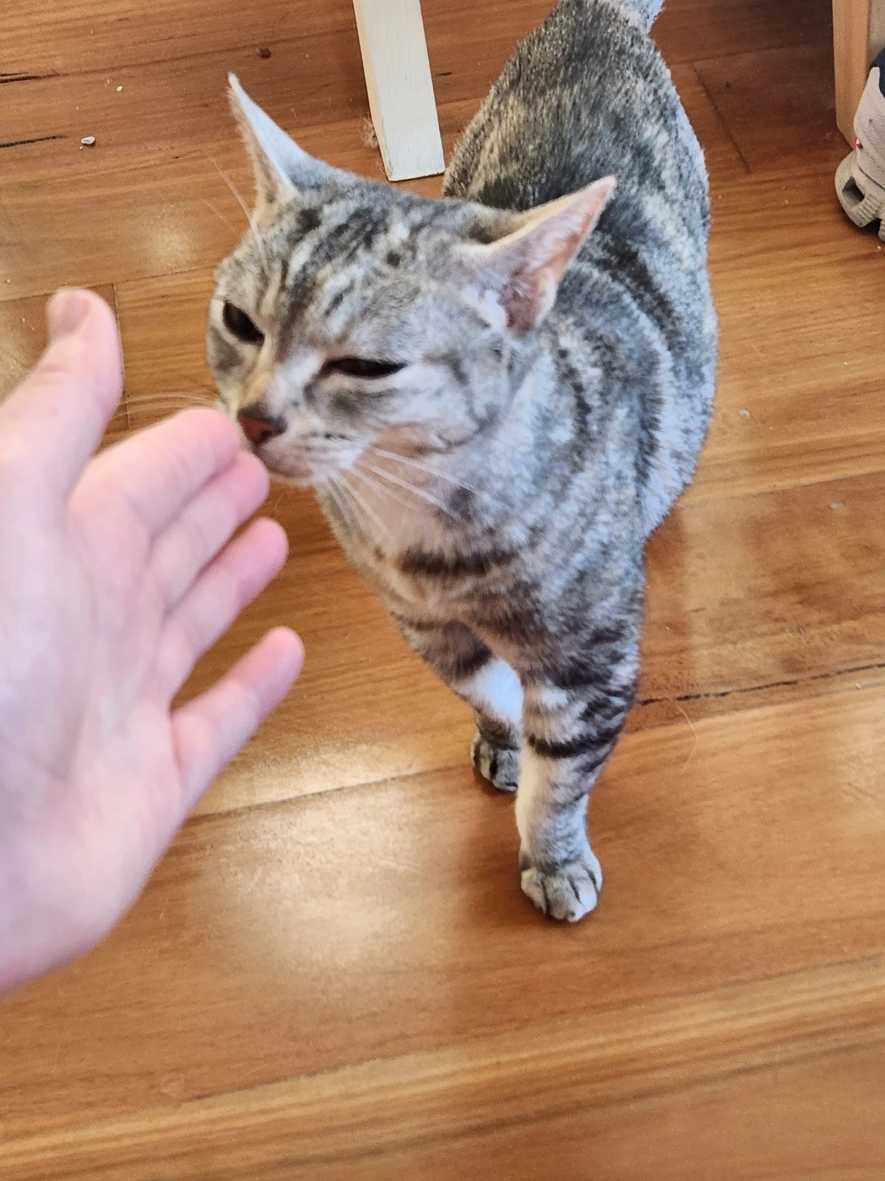 image-27