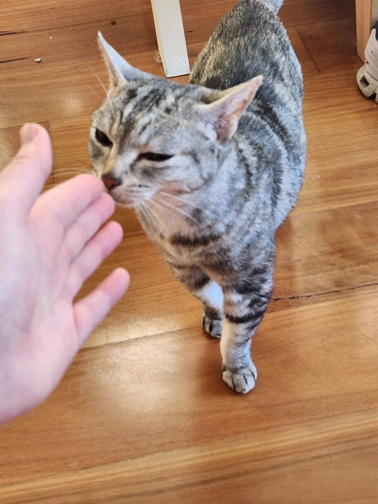 image-27
