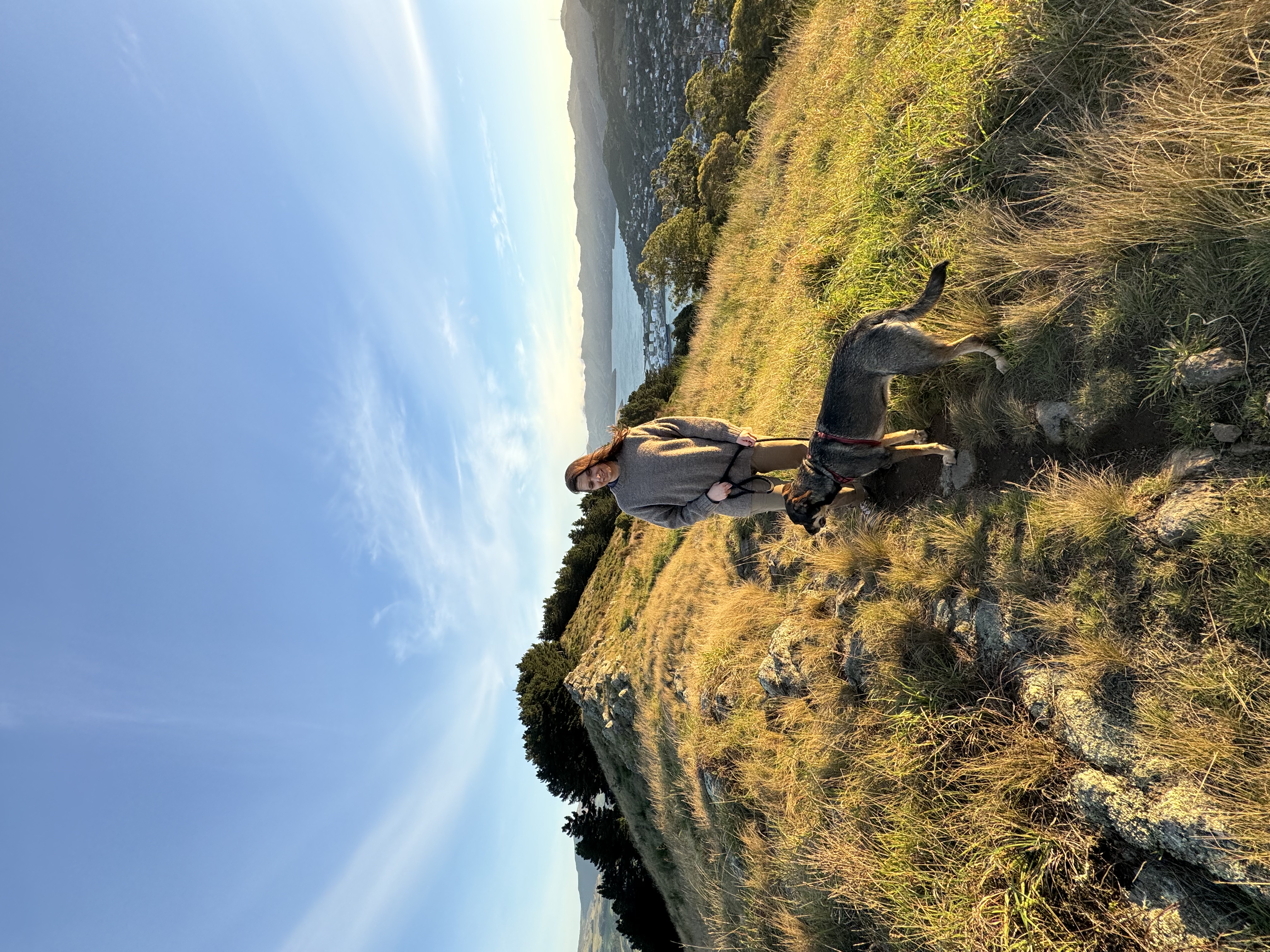 image-0