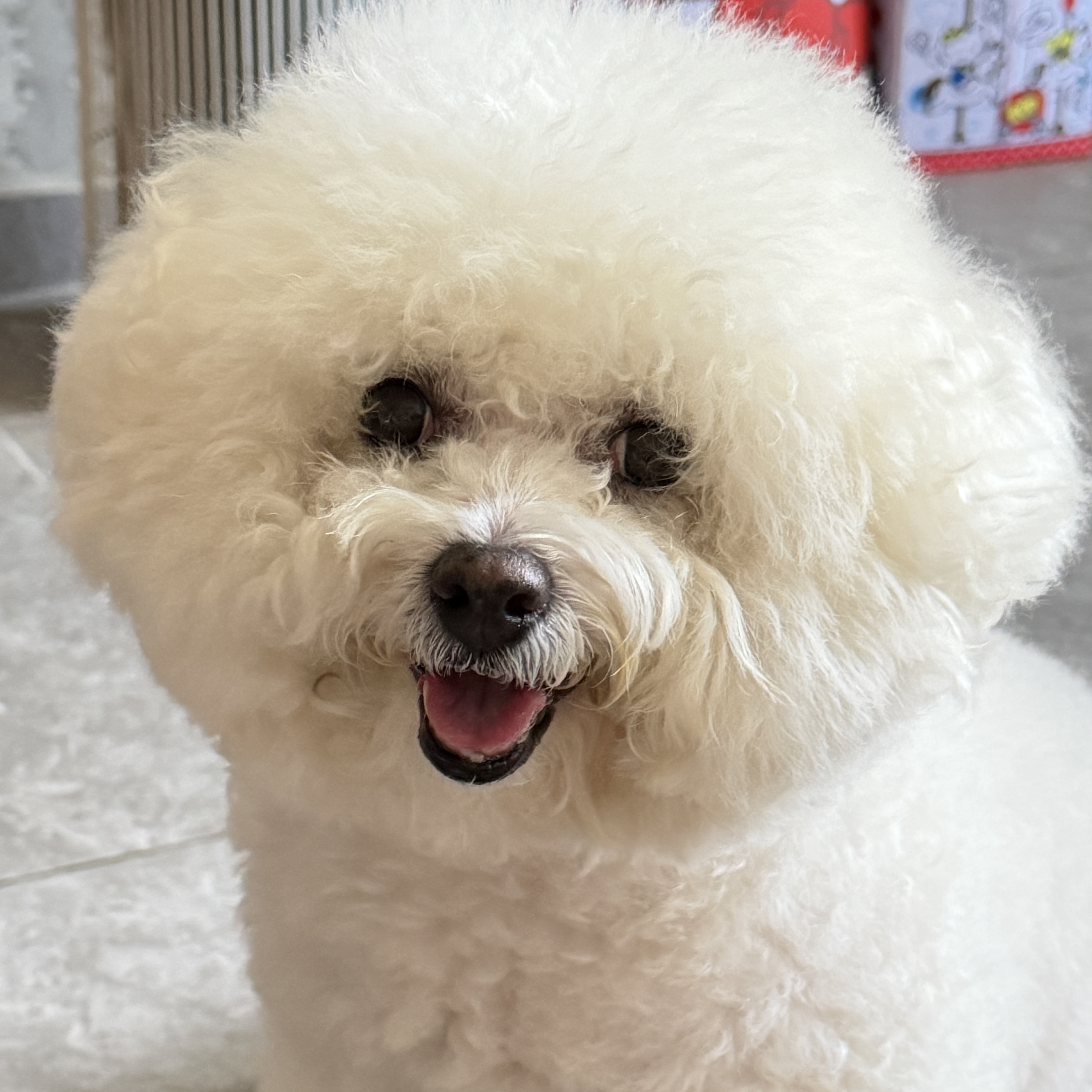 Coco