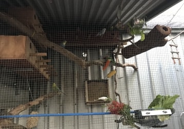 3 Aviaries Of Birds ... 