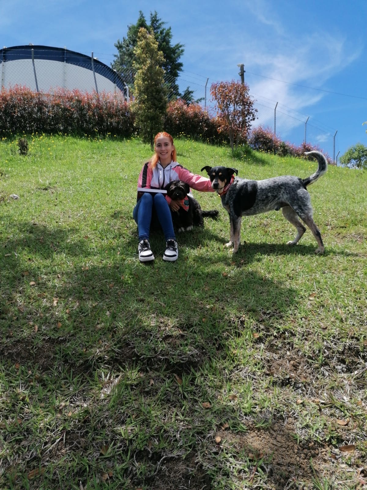 image-5