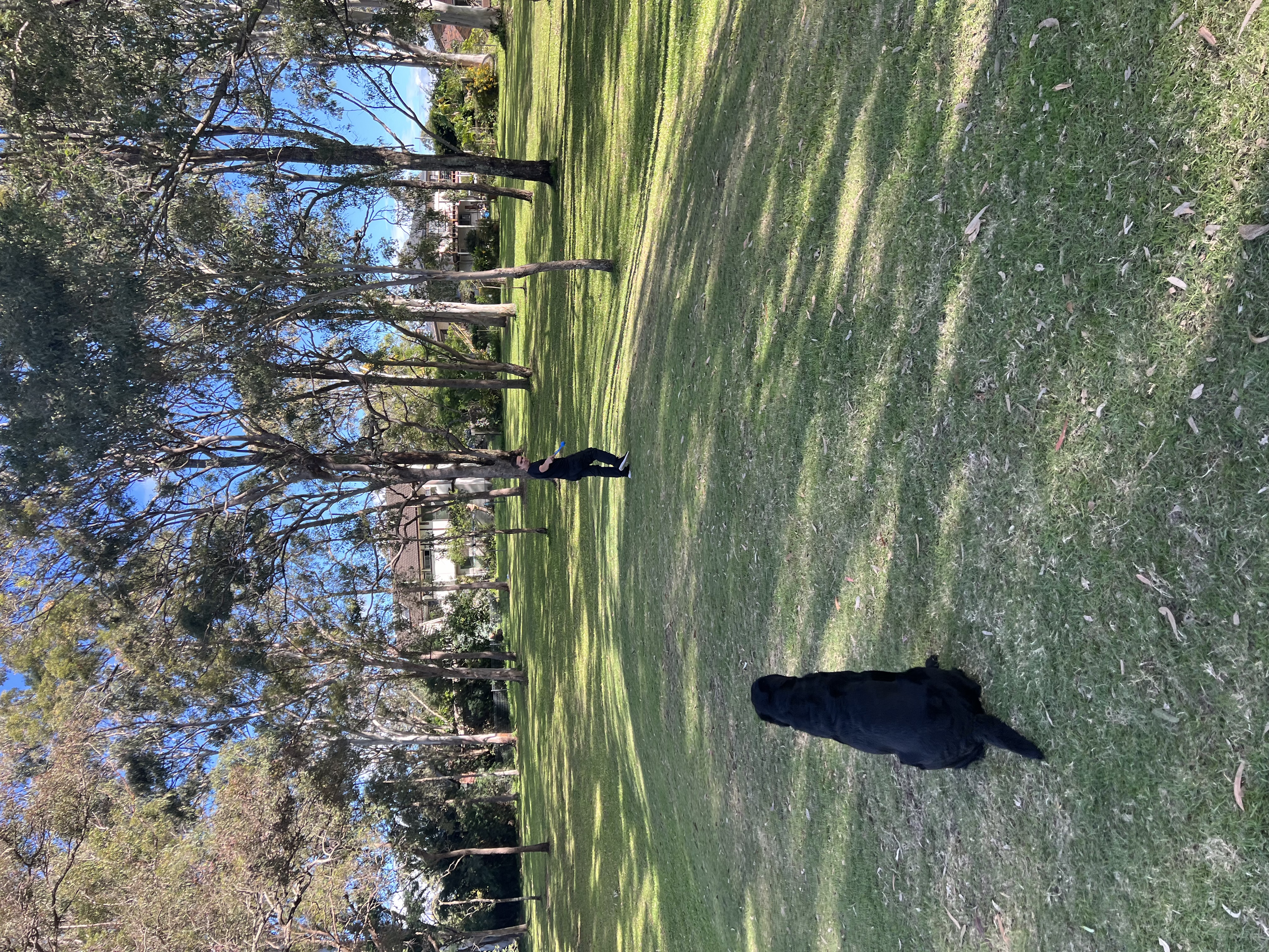 image-13