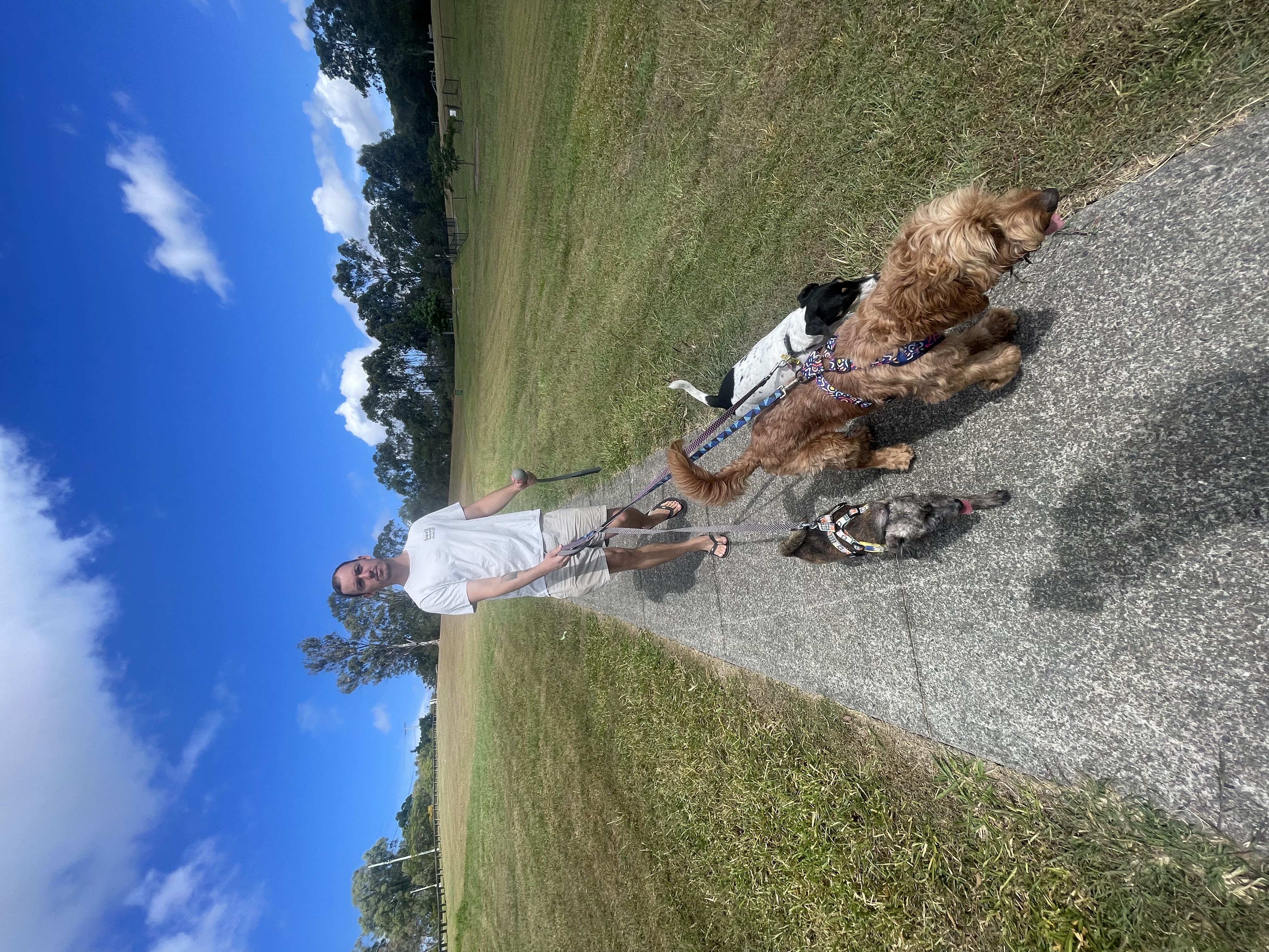 image-16