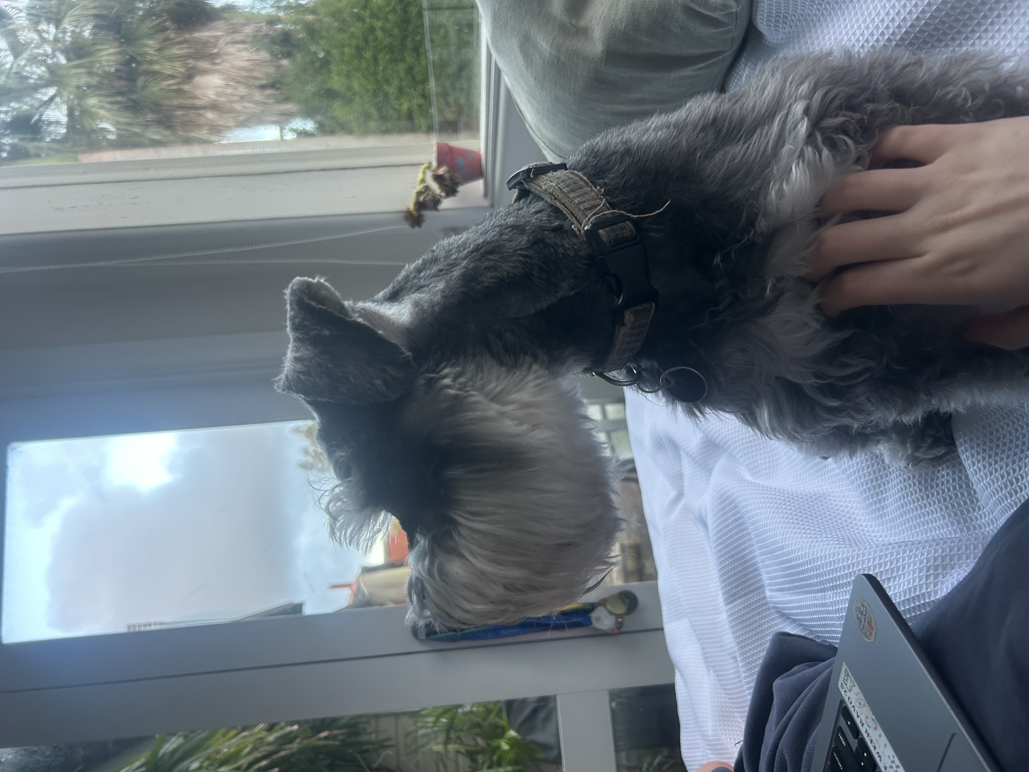 image-6
