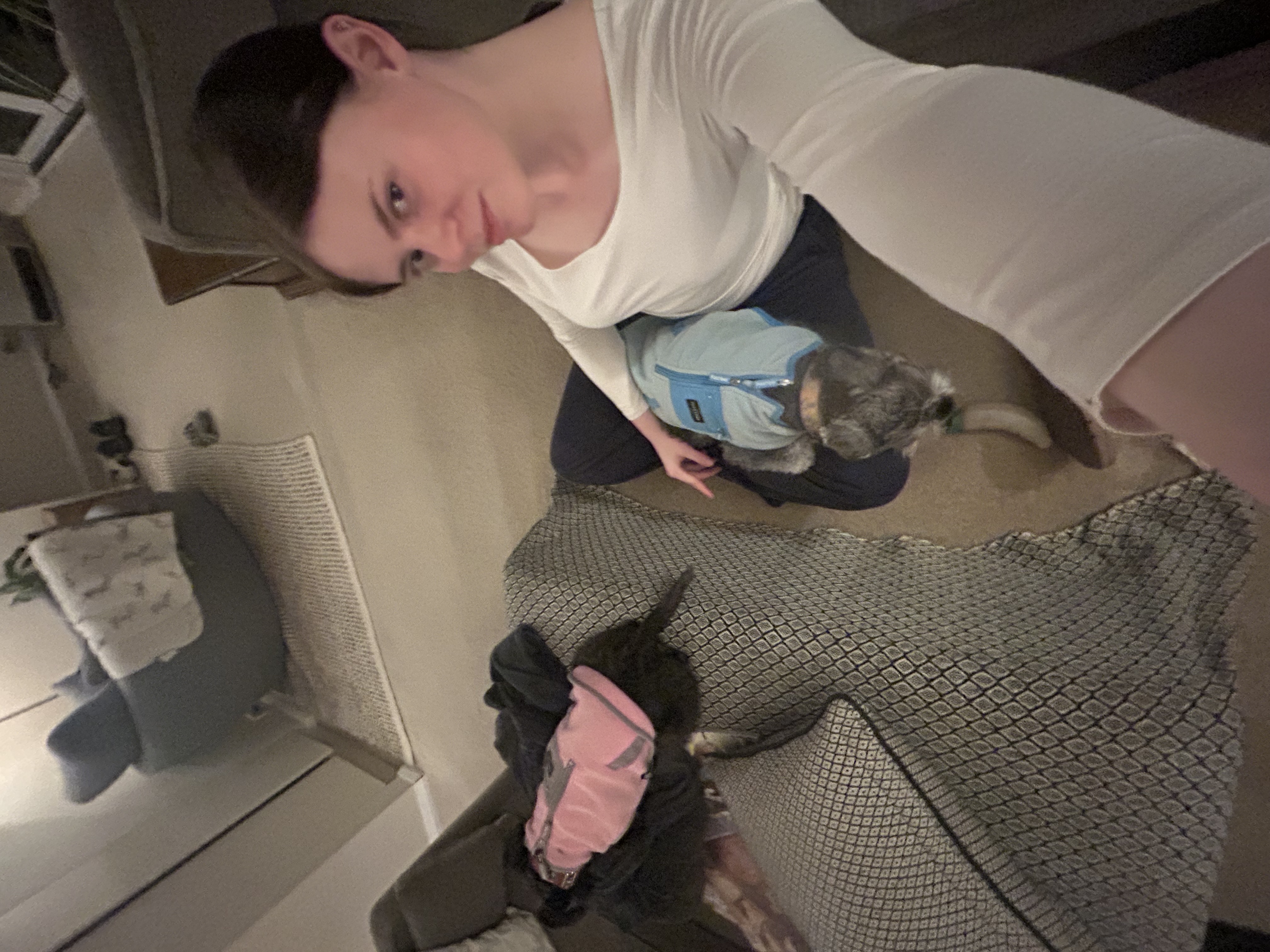 image-1