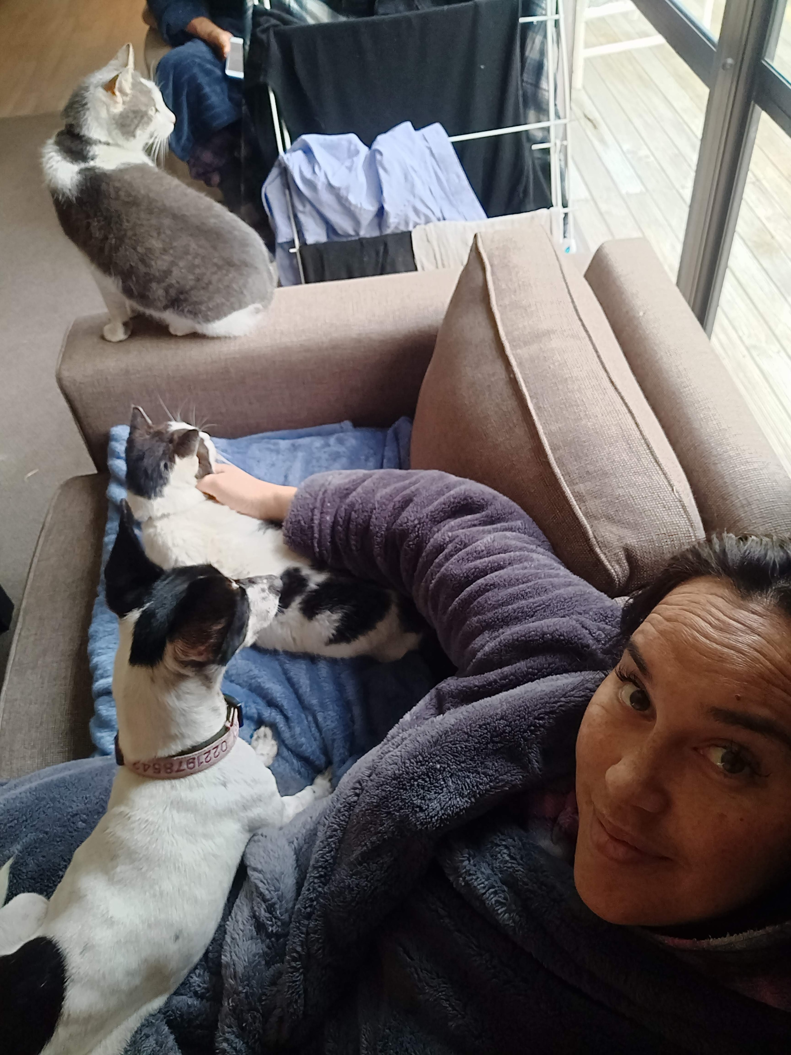 image-4