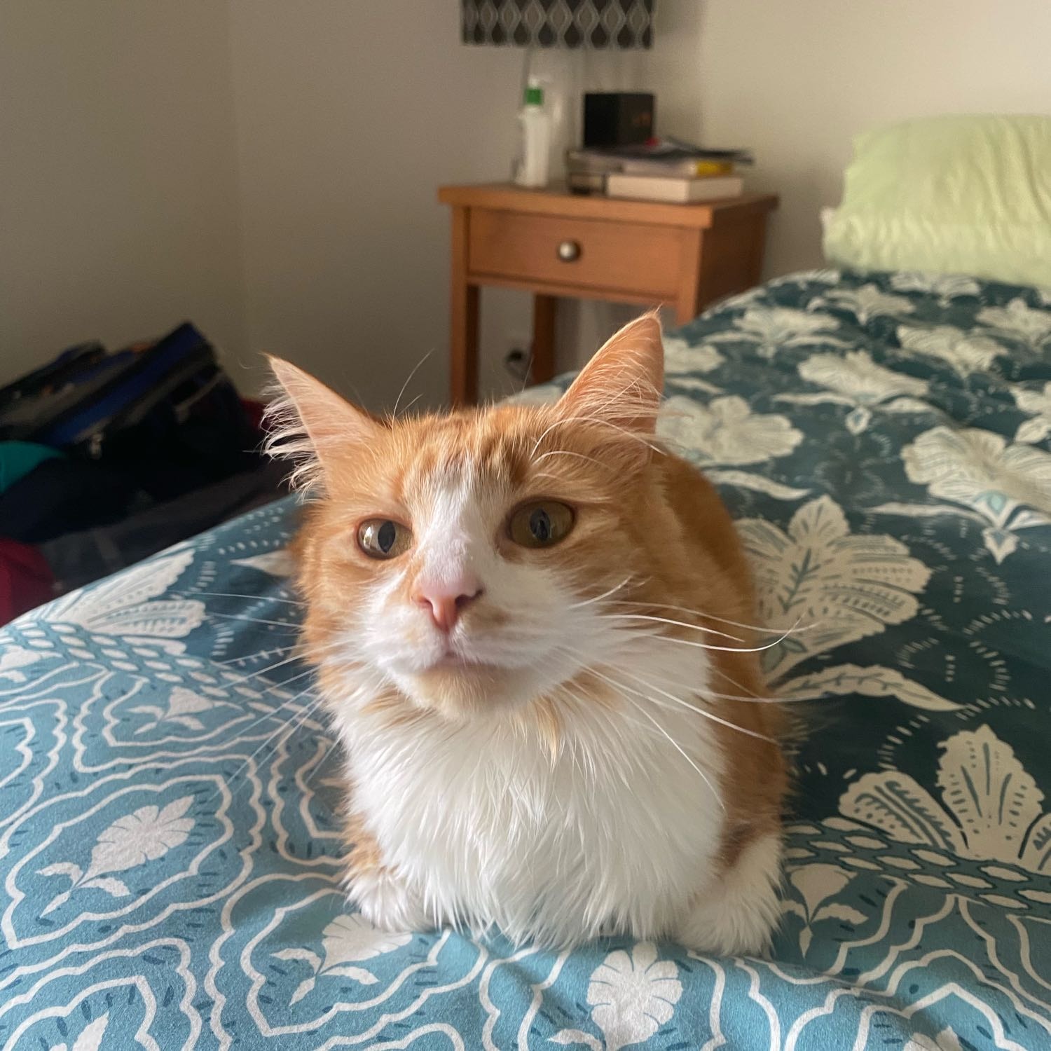 Rusty