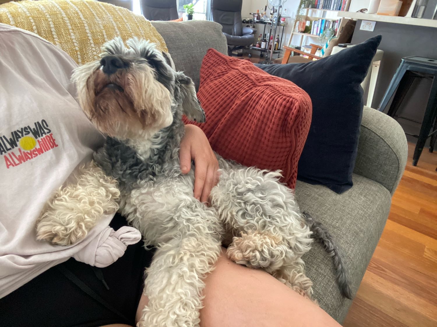 image-12